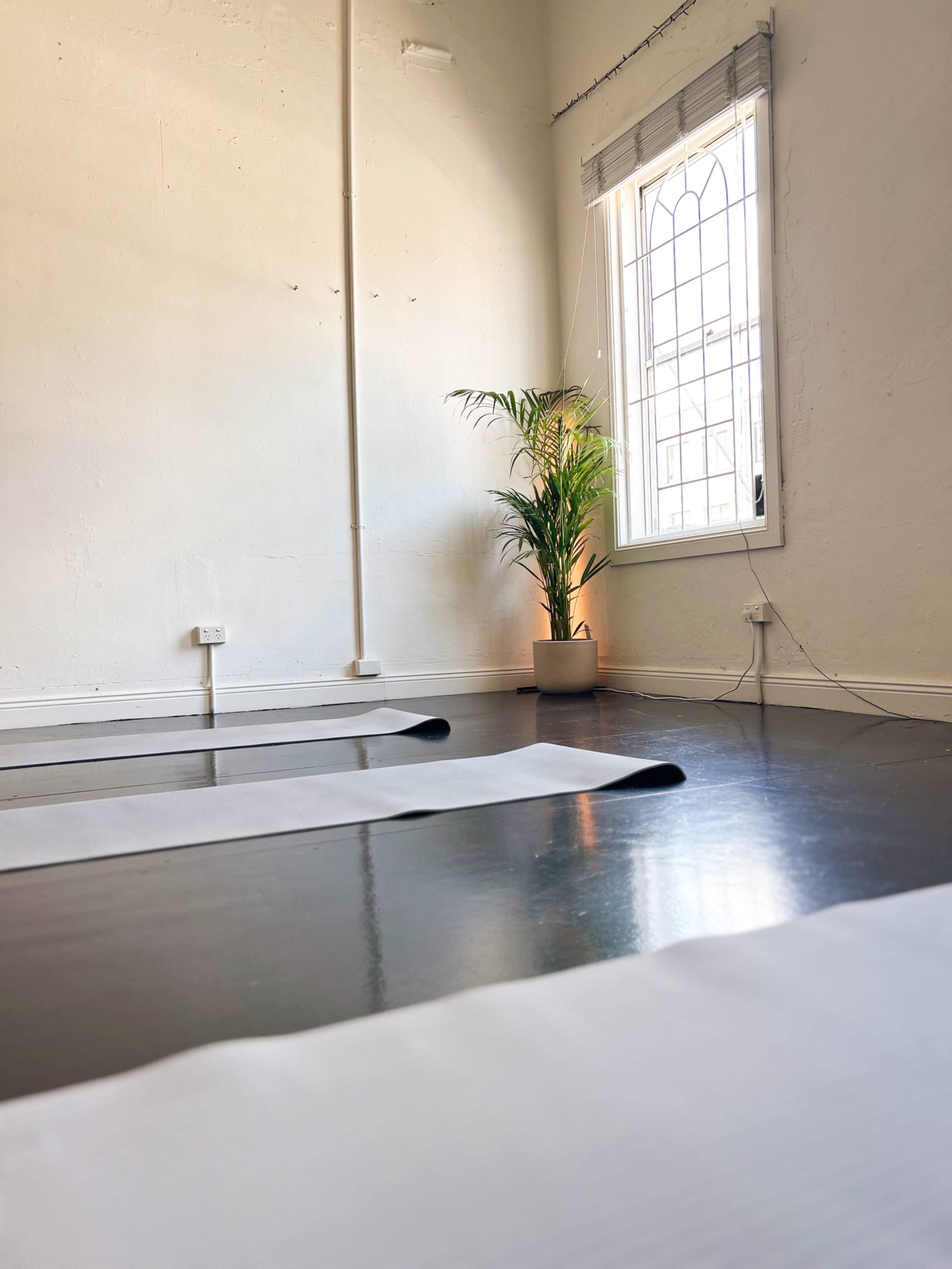 Versatile Creative Space for Hire – Ideal for Studios, Workshops, and More! Image in Annandale, Annandale, NSW