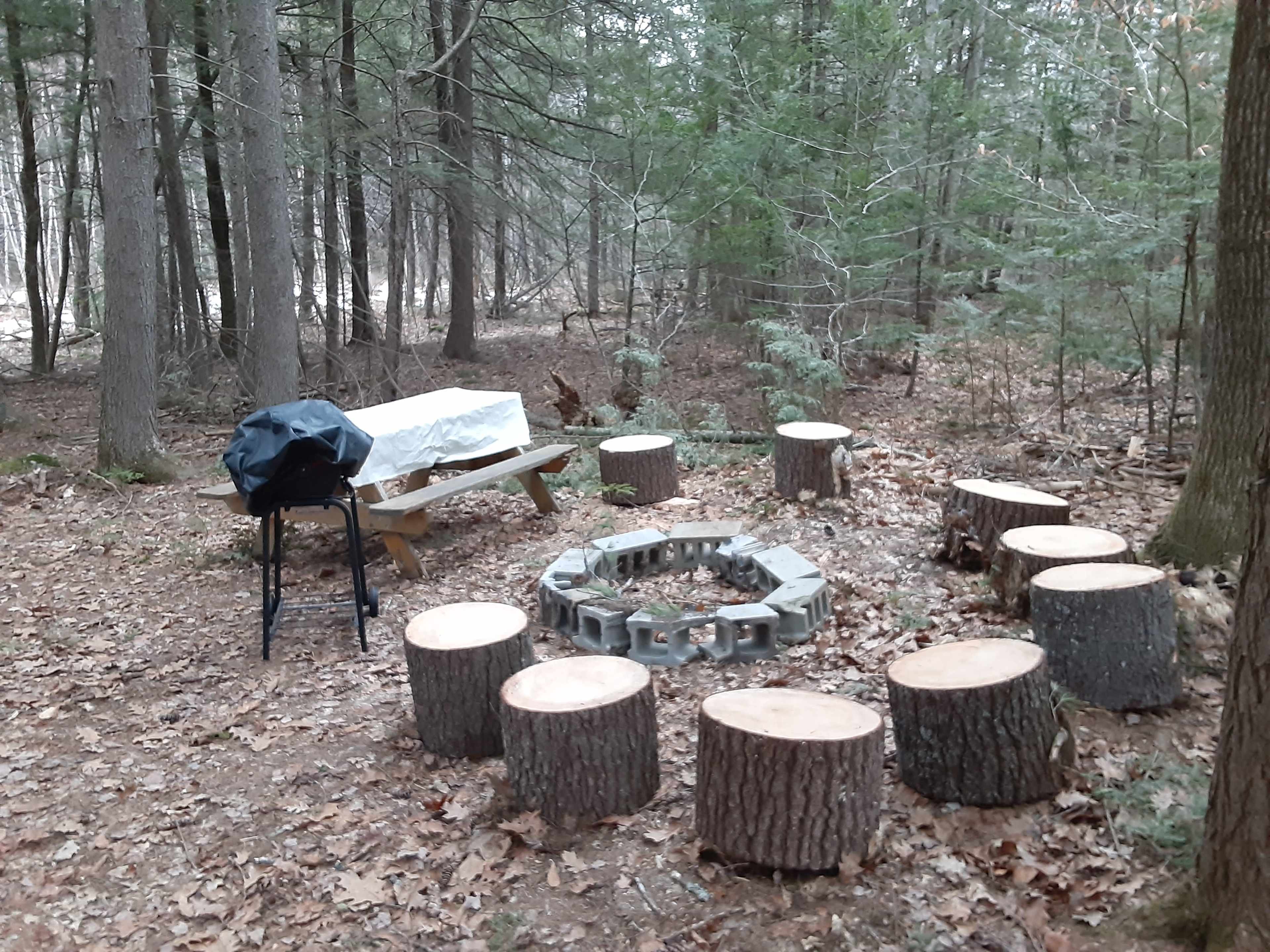 A campsite features a circular arrangement of log seats around a stone fire pit, with a picnic table and a covered grill nearby.