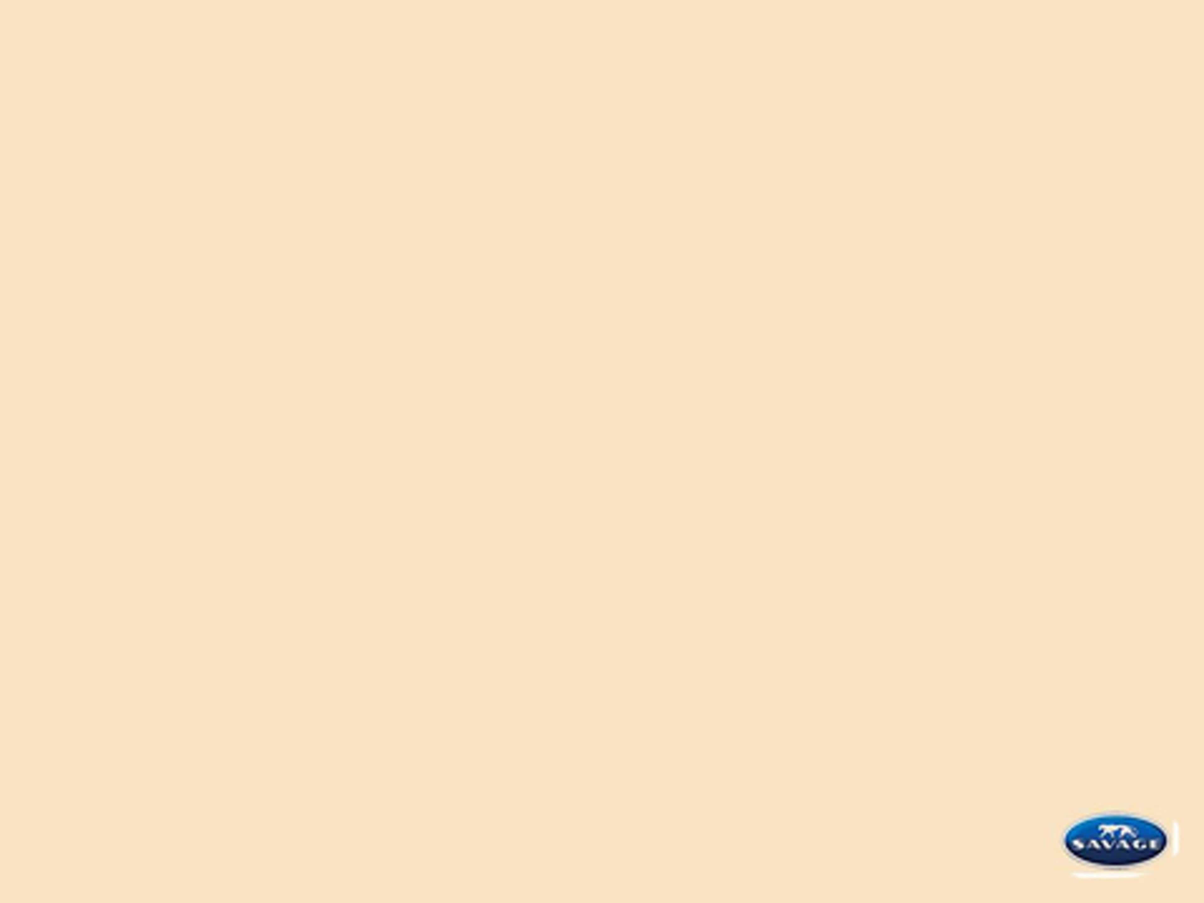 #19 Egg Nog Backdrop Paper