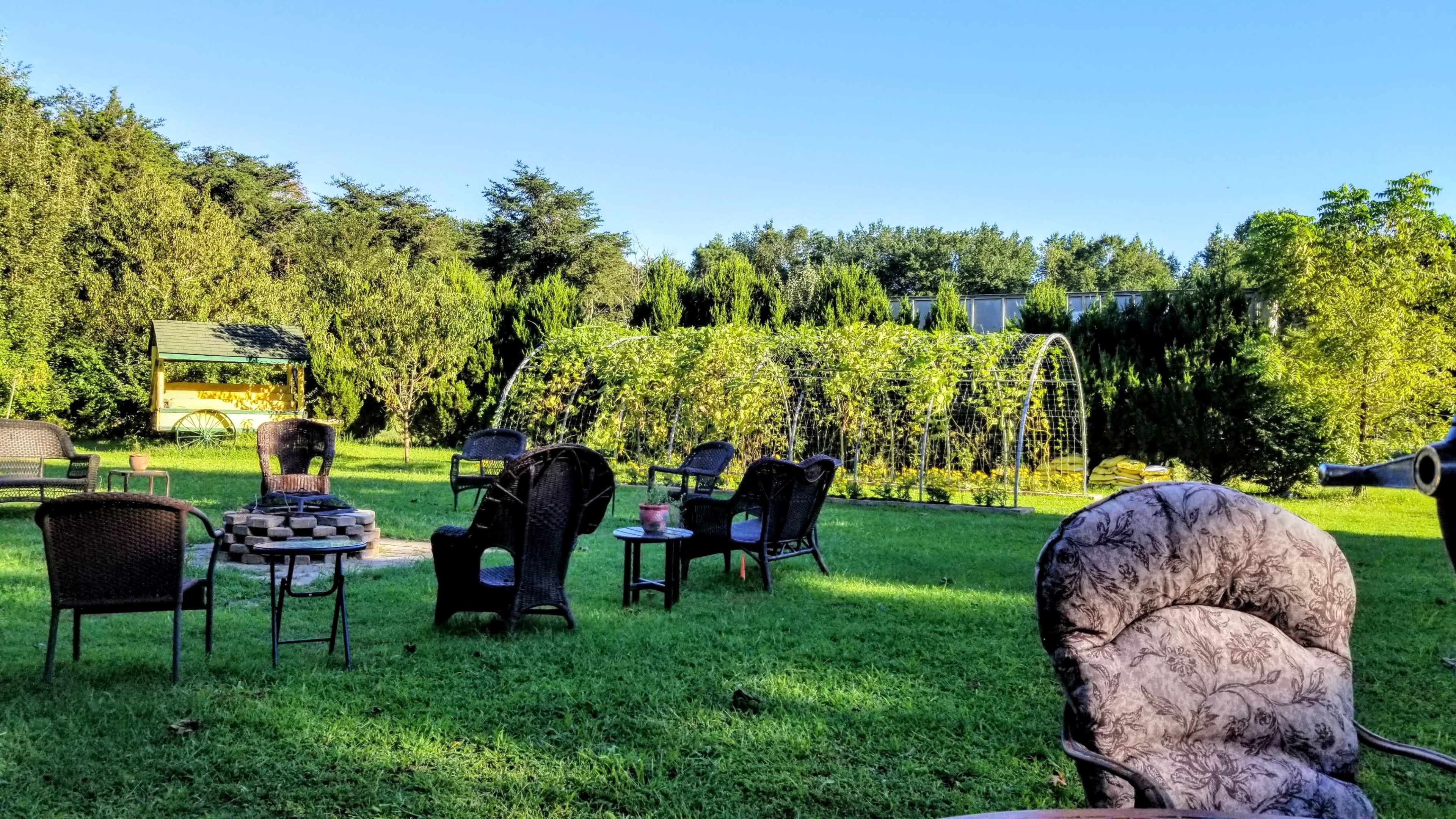 The image shows a grassy area with several chairs arranged around a fire pit, a trellis structure with climbing plants, and a small shed in the background.