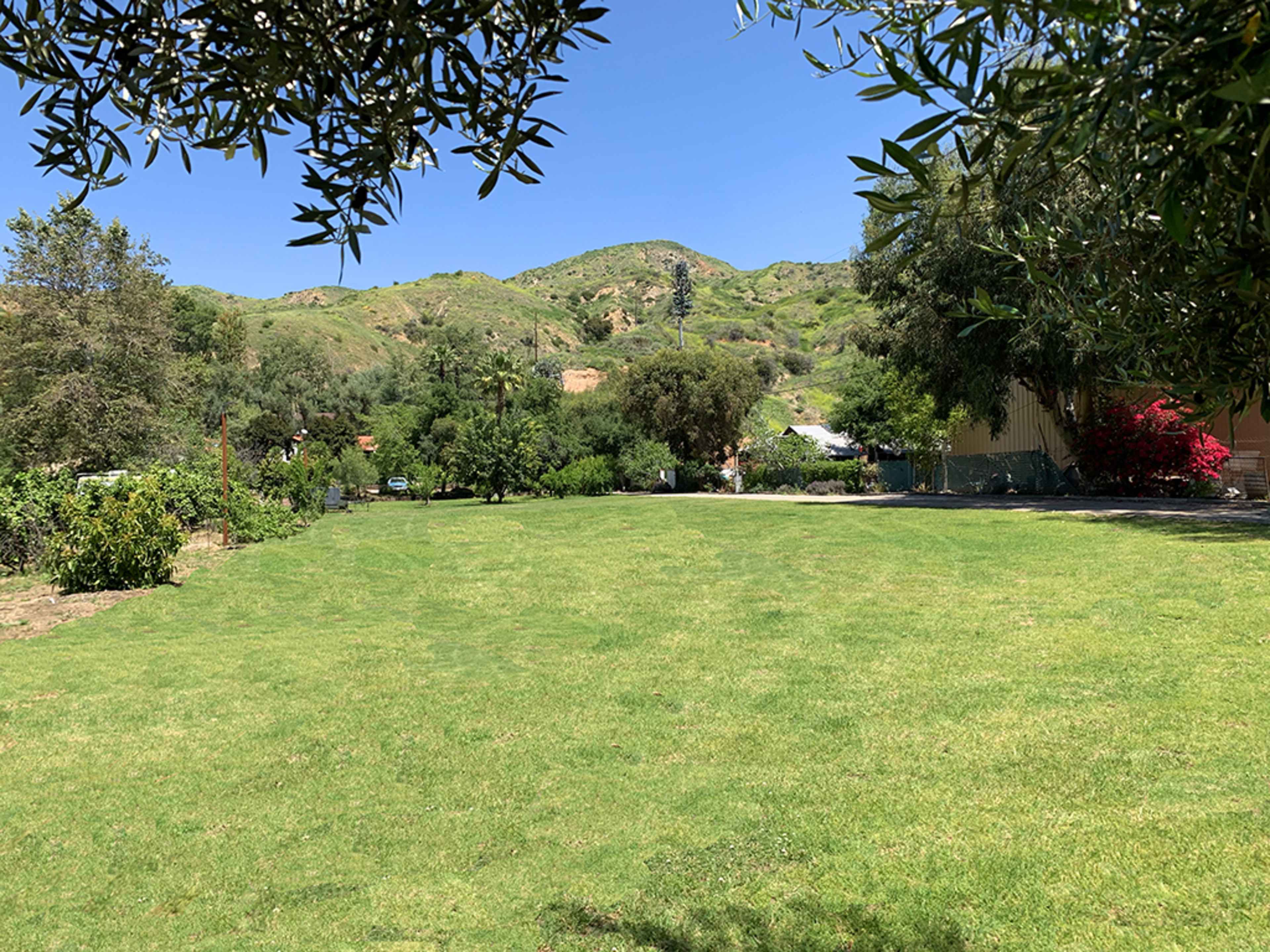 A grassy area is bordered by trees and features rolling hills in the background.