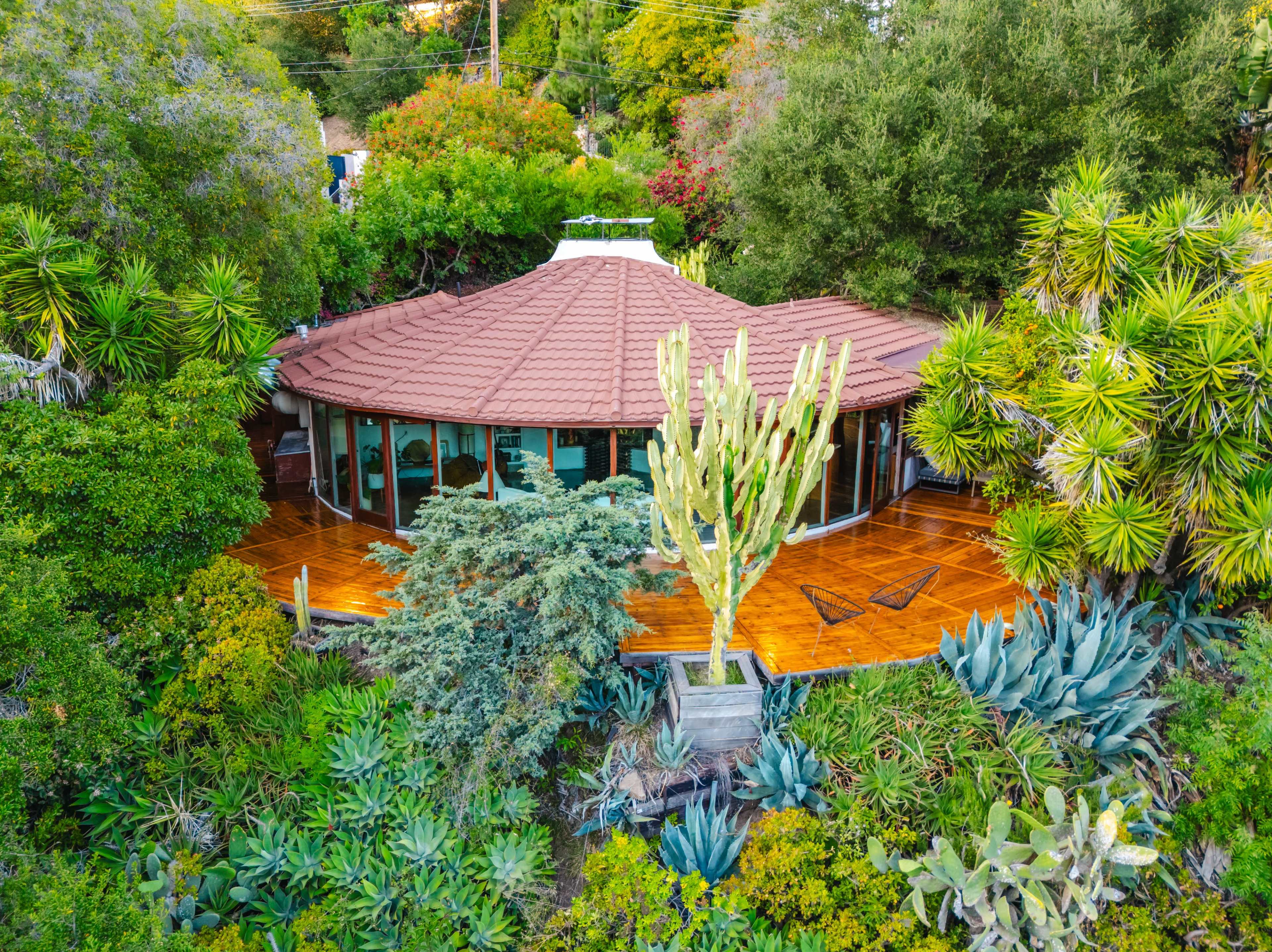 A circular house with a brown roof is surrounded by lush greenery and various types of plants.