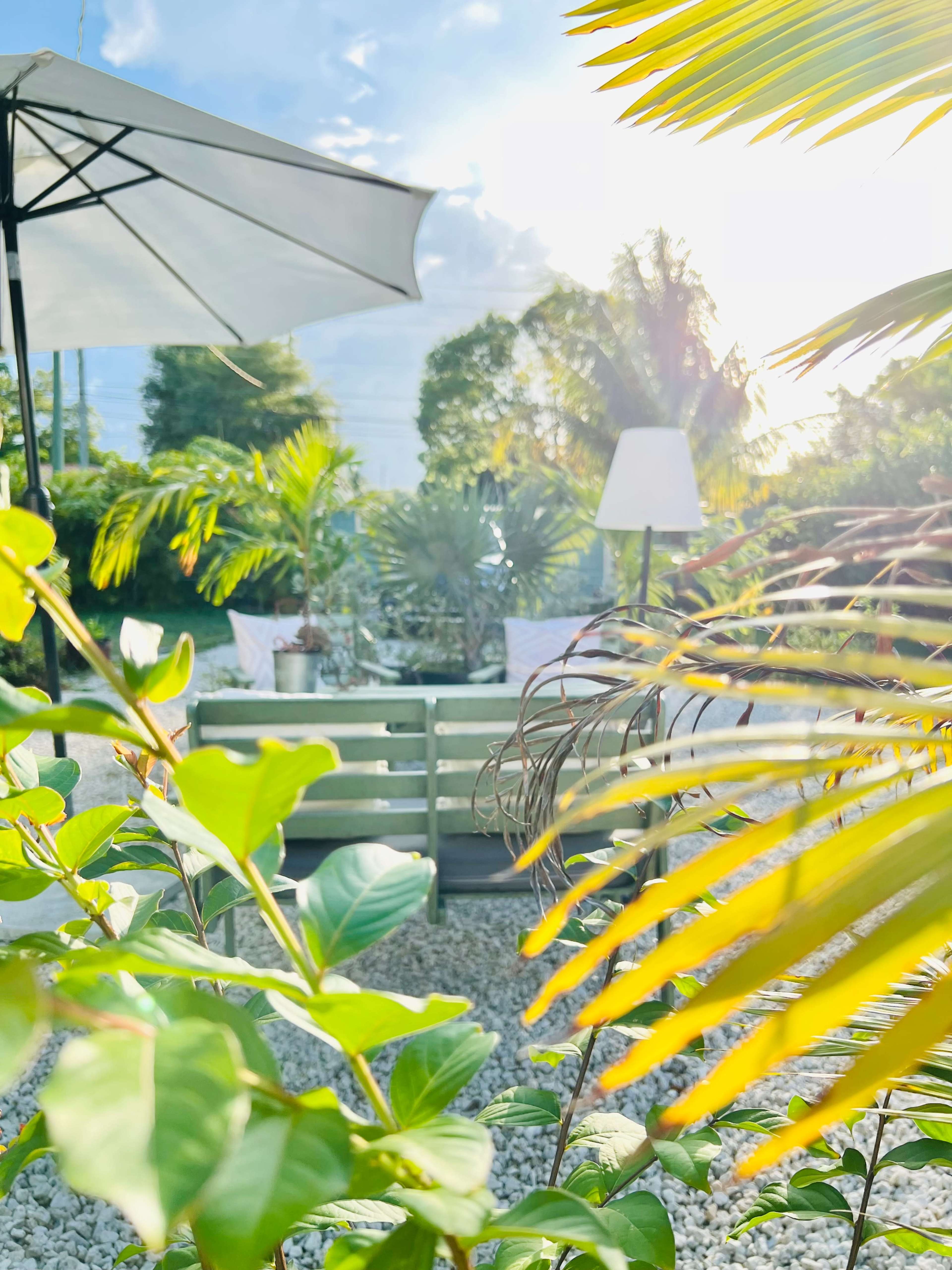 A sunlit garden scene features a seating area surrounded by tropical plants and a large umbrella.
