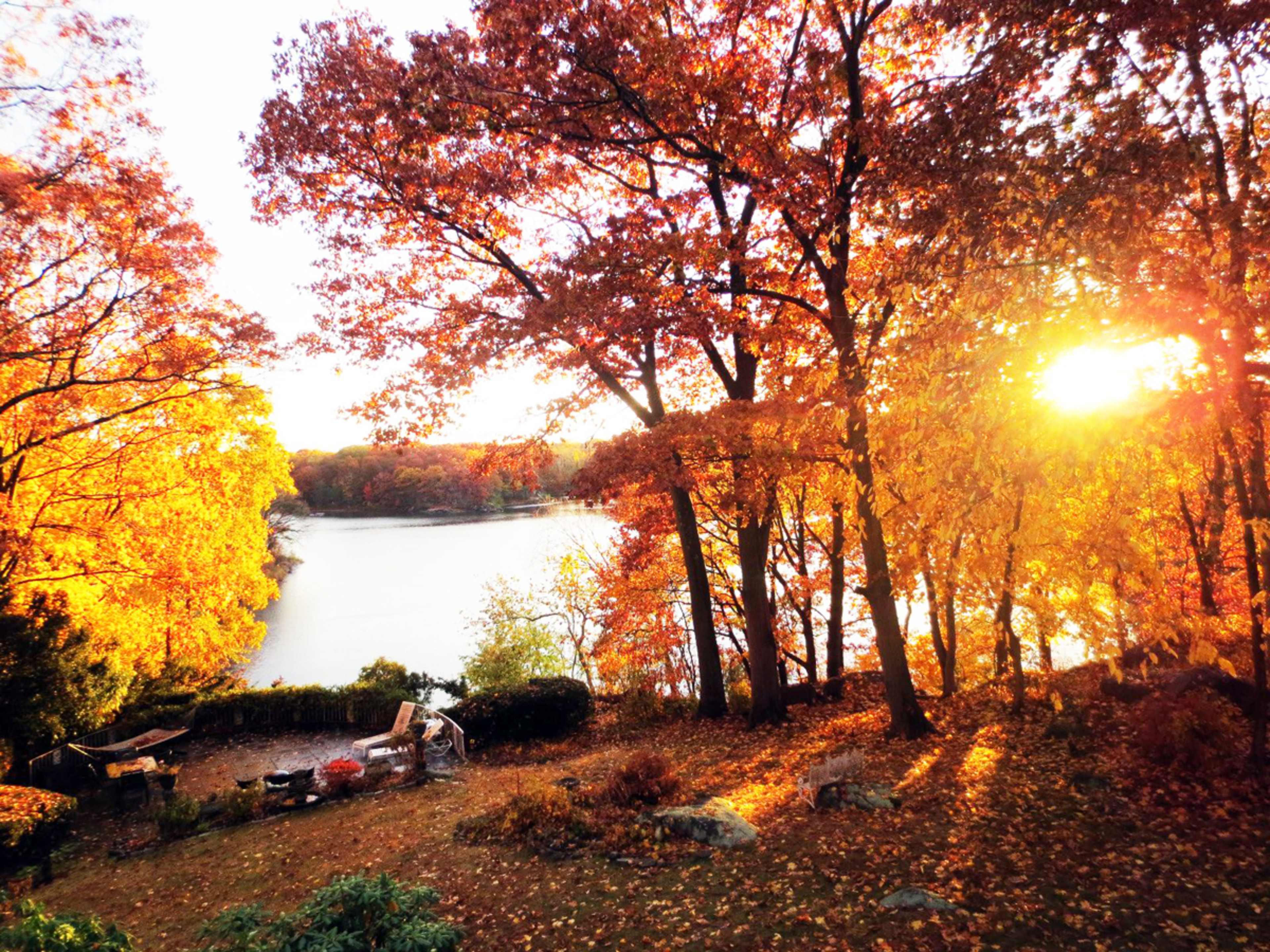 The image shows a lake surrounded by trees with vibrant autumn foliage, illuminated by sunlight filtering through the branches.