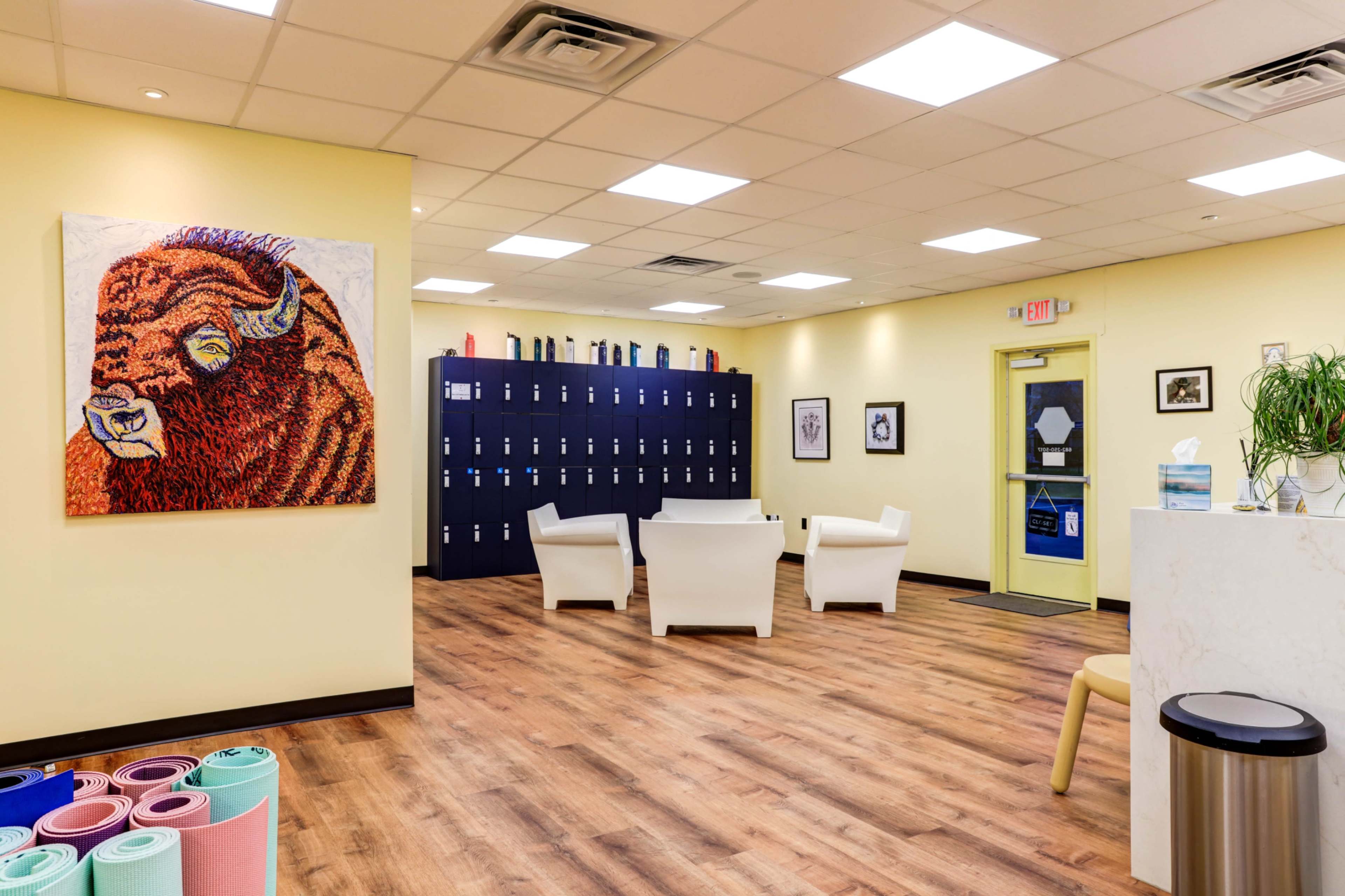 A bright, spacious reception area with lockers against one wall, seating in the center, and a large colorful bison artwork on the opposite wall.