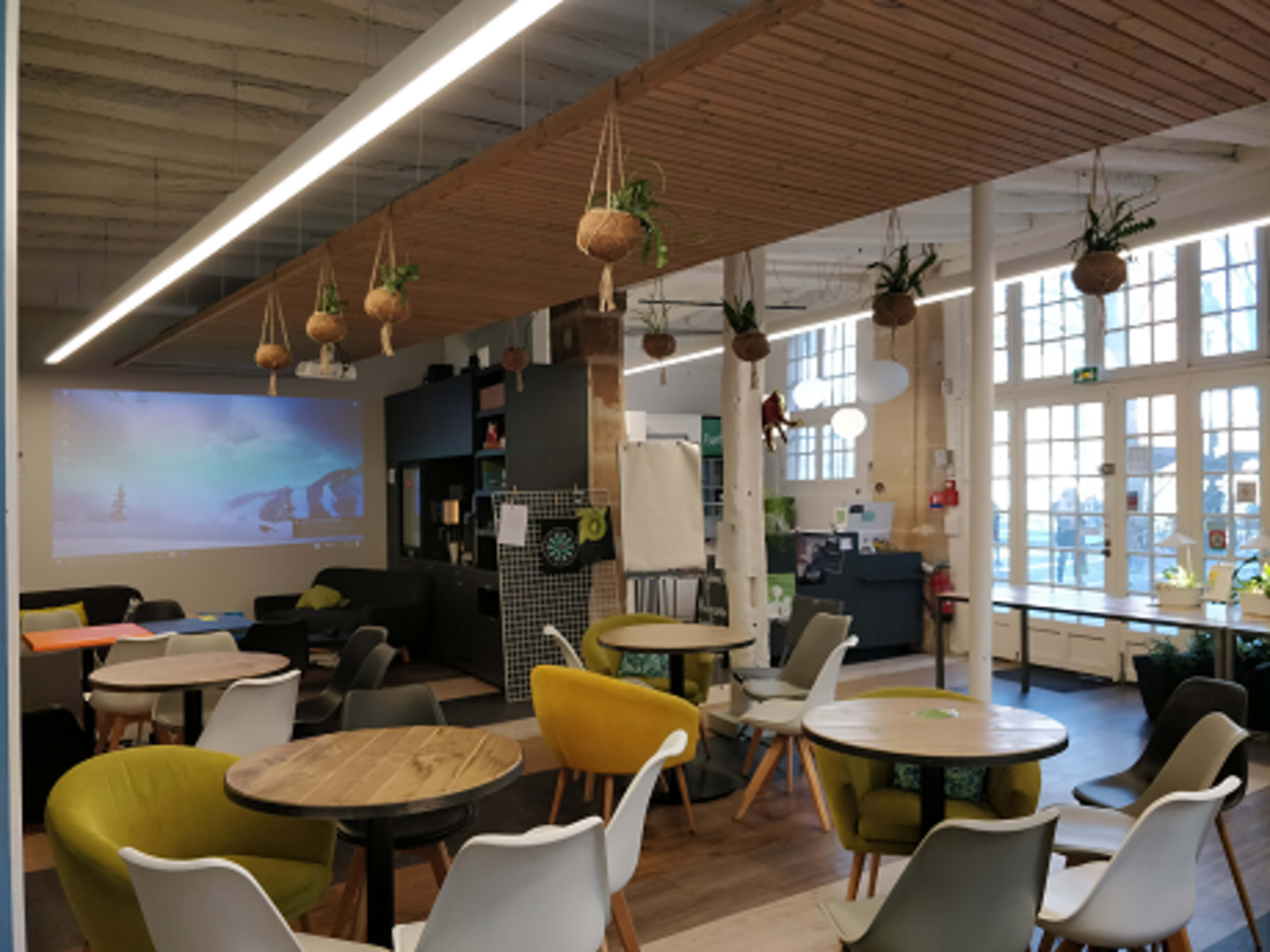 A modern open workspace with various seating arrangements, hanging plants, and a projector screen on the wall.
