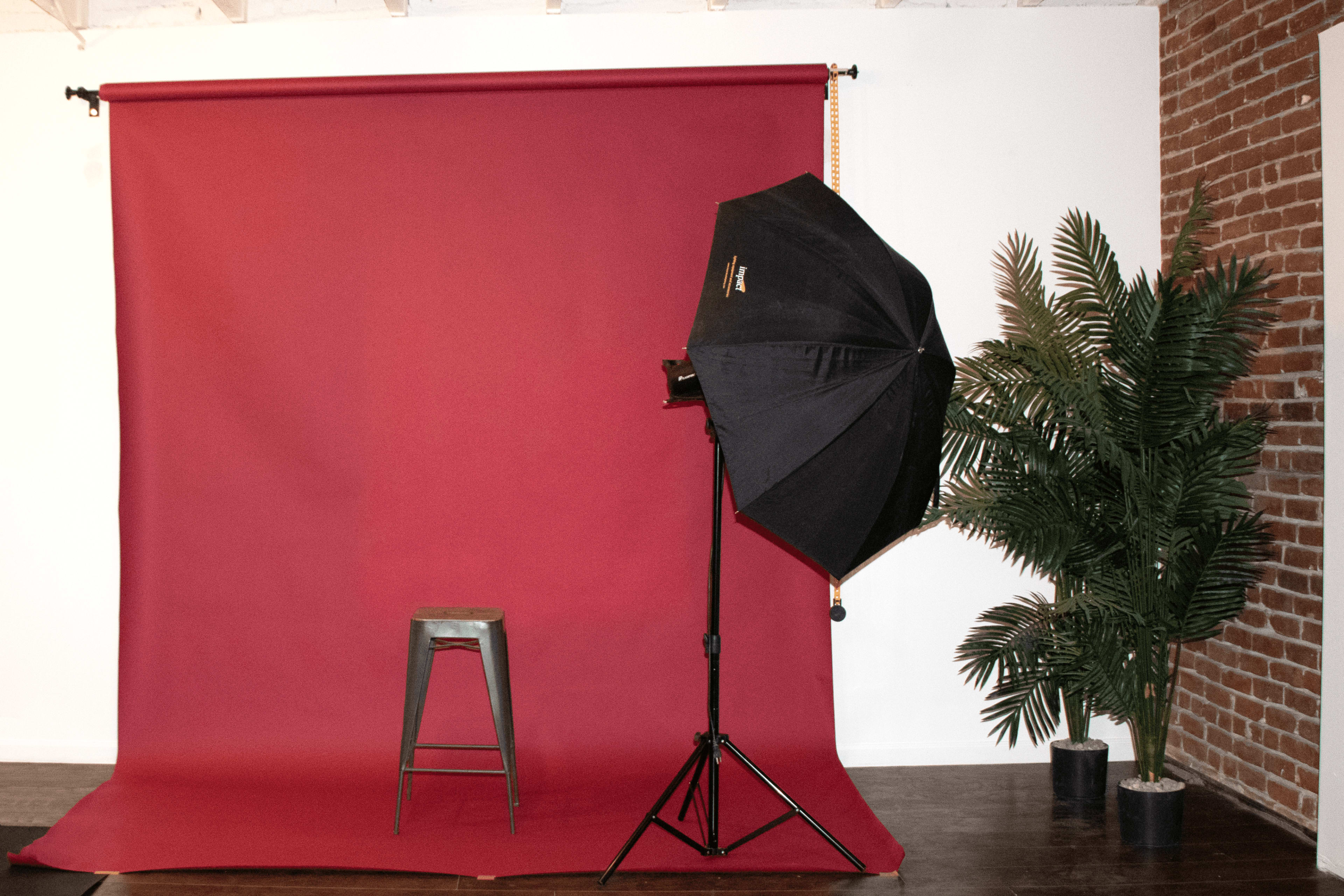 A black umbrella light and a metal stool are positioned in front of a red backdrop, beside a potted plant.