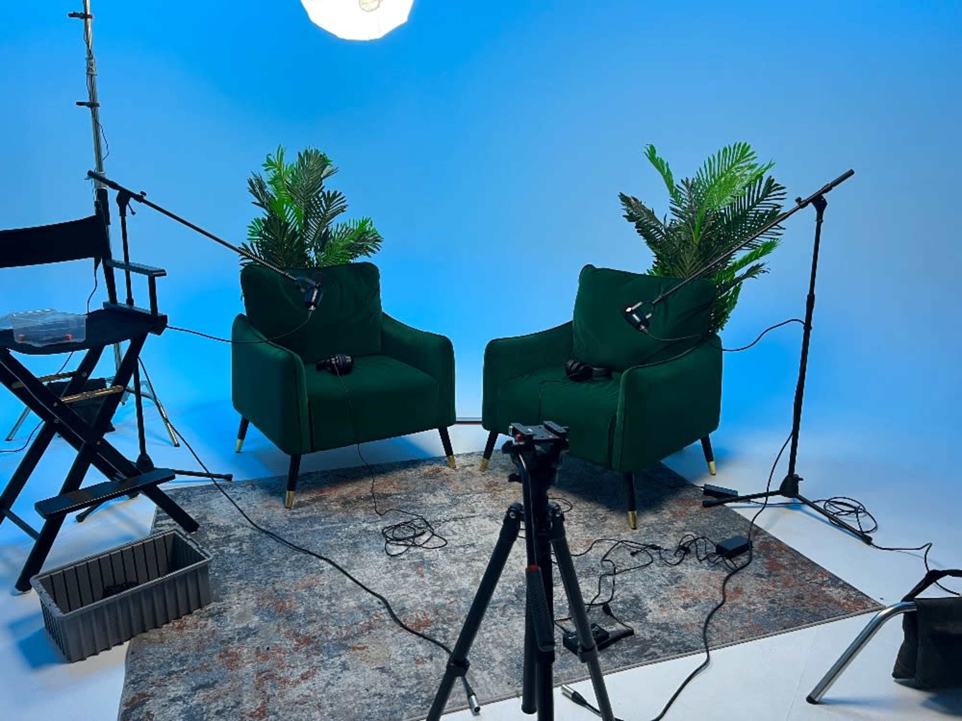Green Accent chairs 