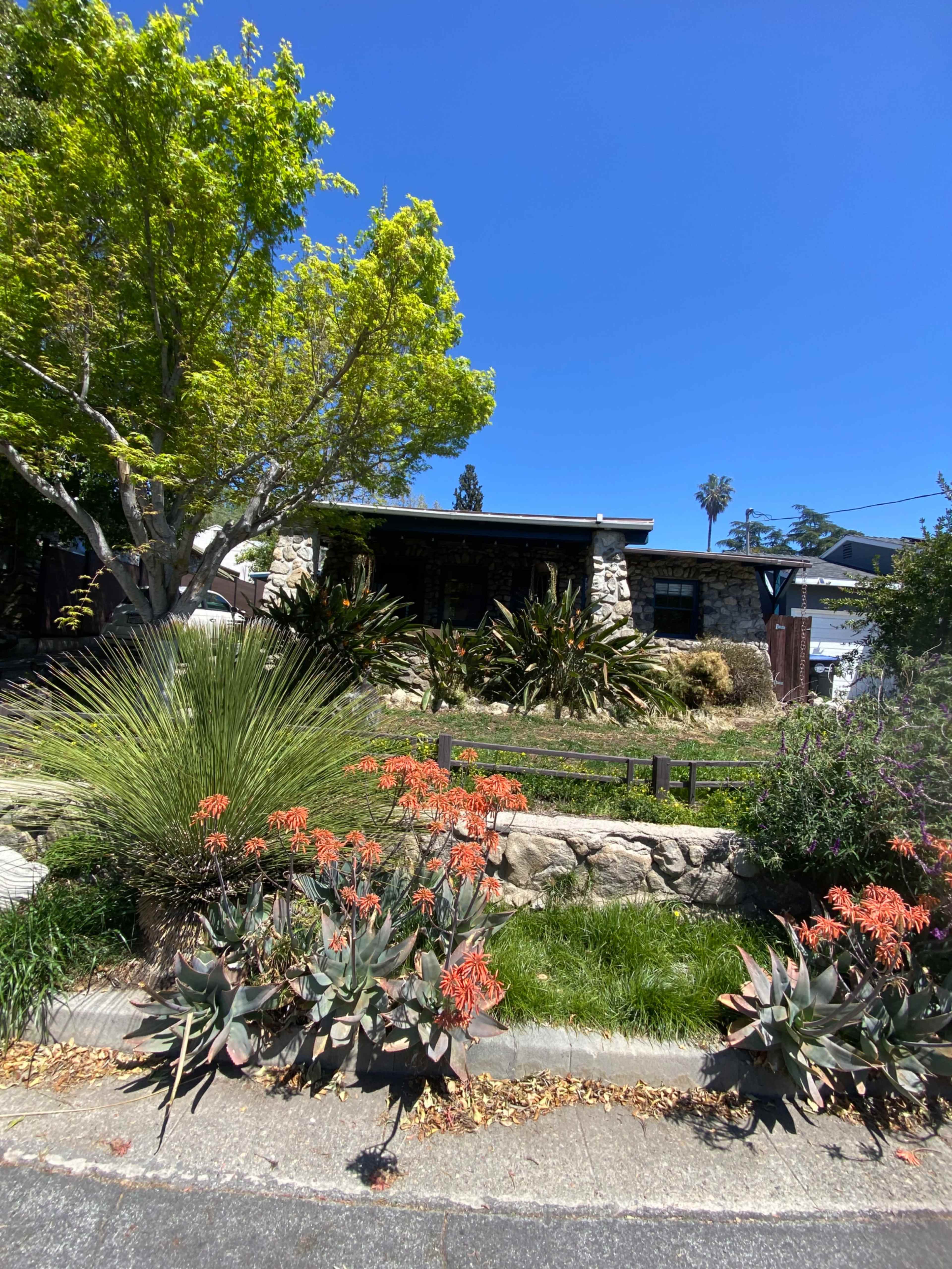 A stone house with a front garden featuring various plants and flowers is set against a clear blue sky.
