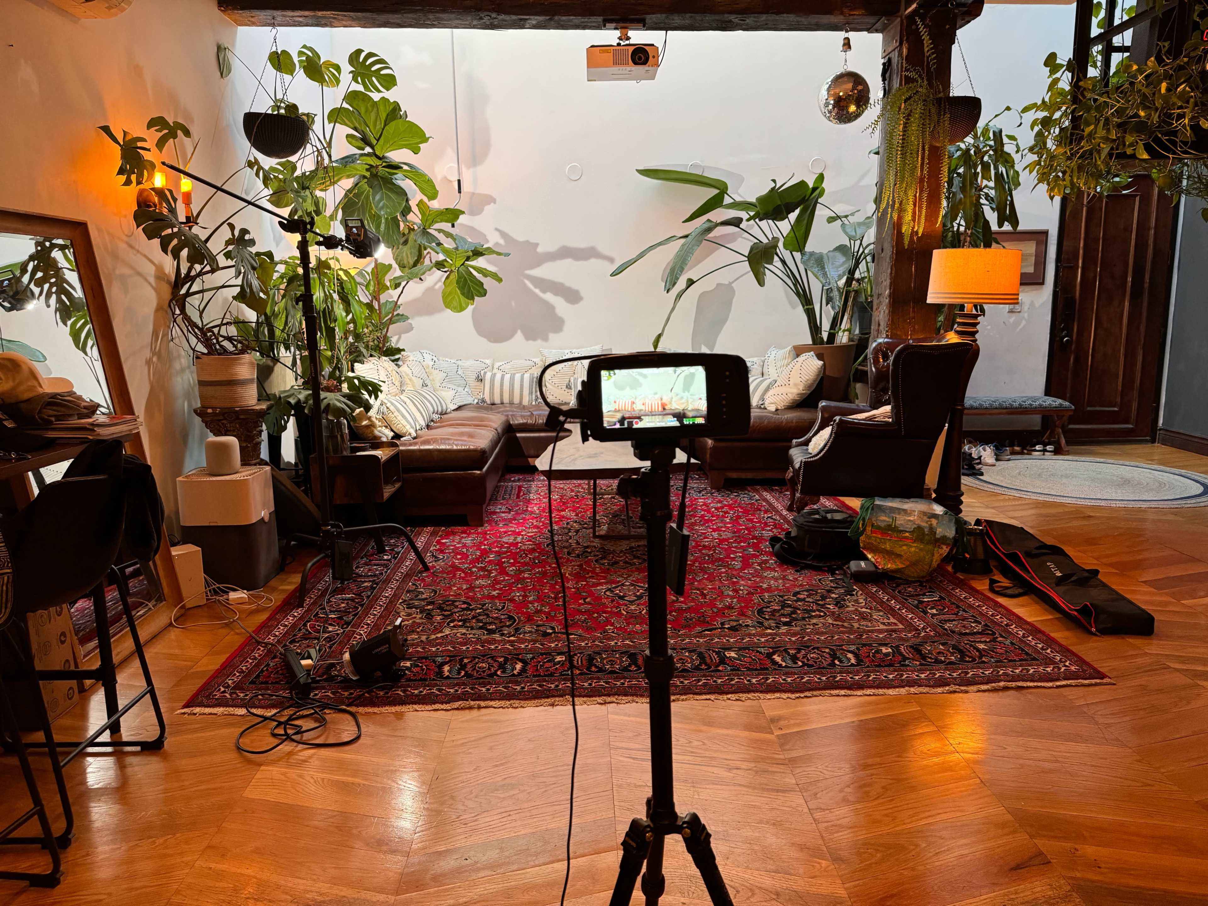 A well-lit indoor space with two brown sofas, a large rug, and various indoor plants, along with a camera setup on a tripod facing the seating area.