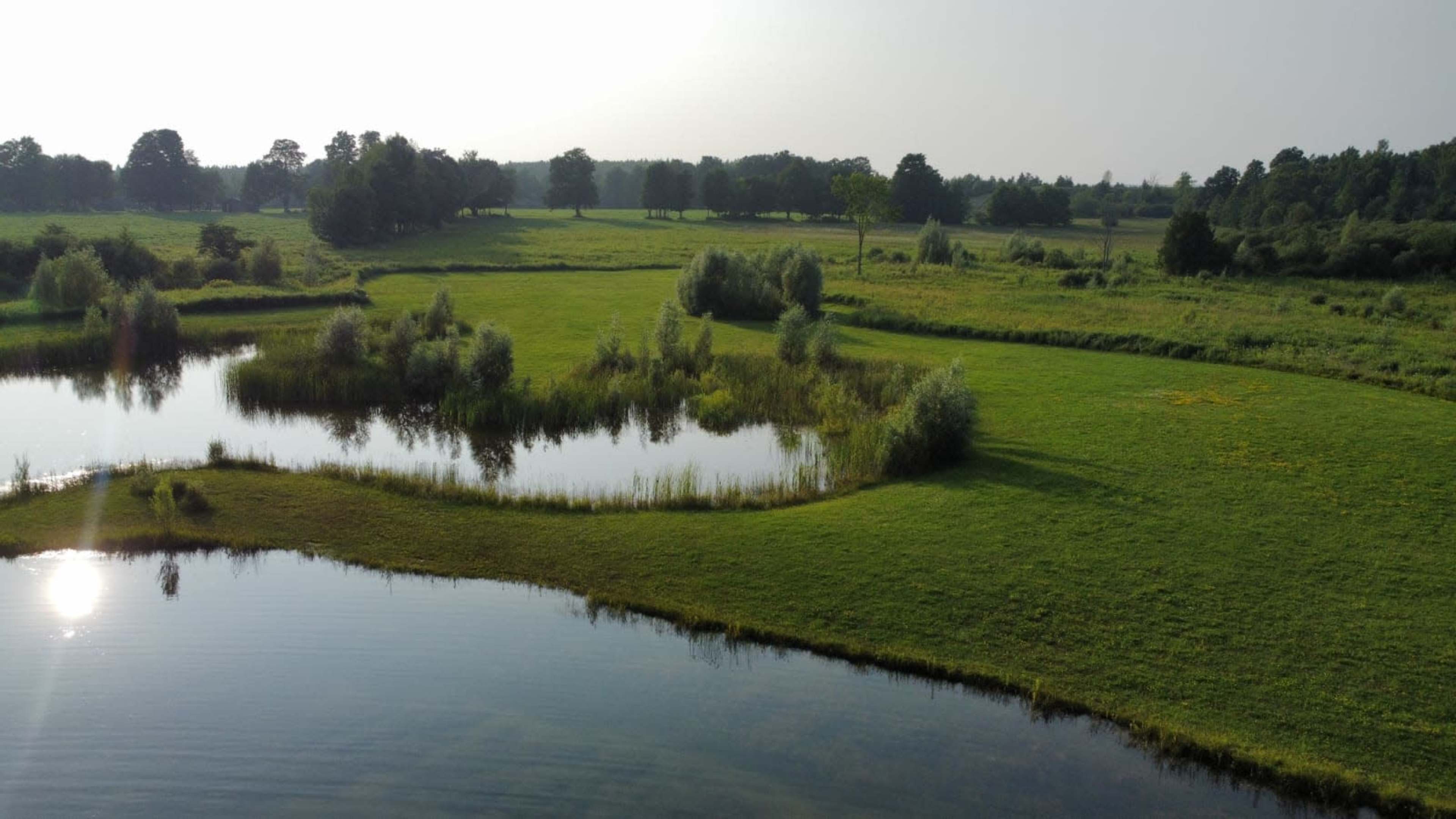 A serene landscape with a large pond surrounded by grassy fields and trees under a clear sky.