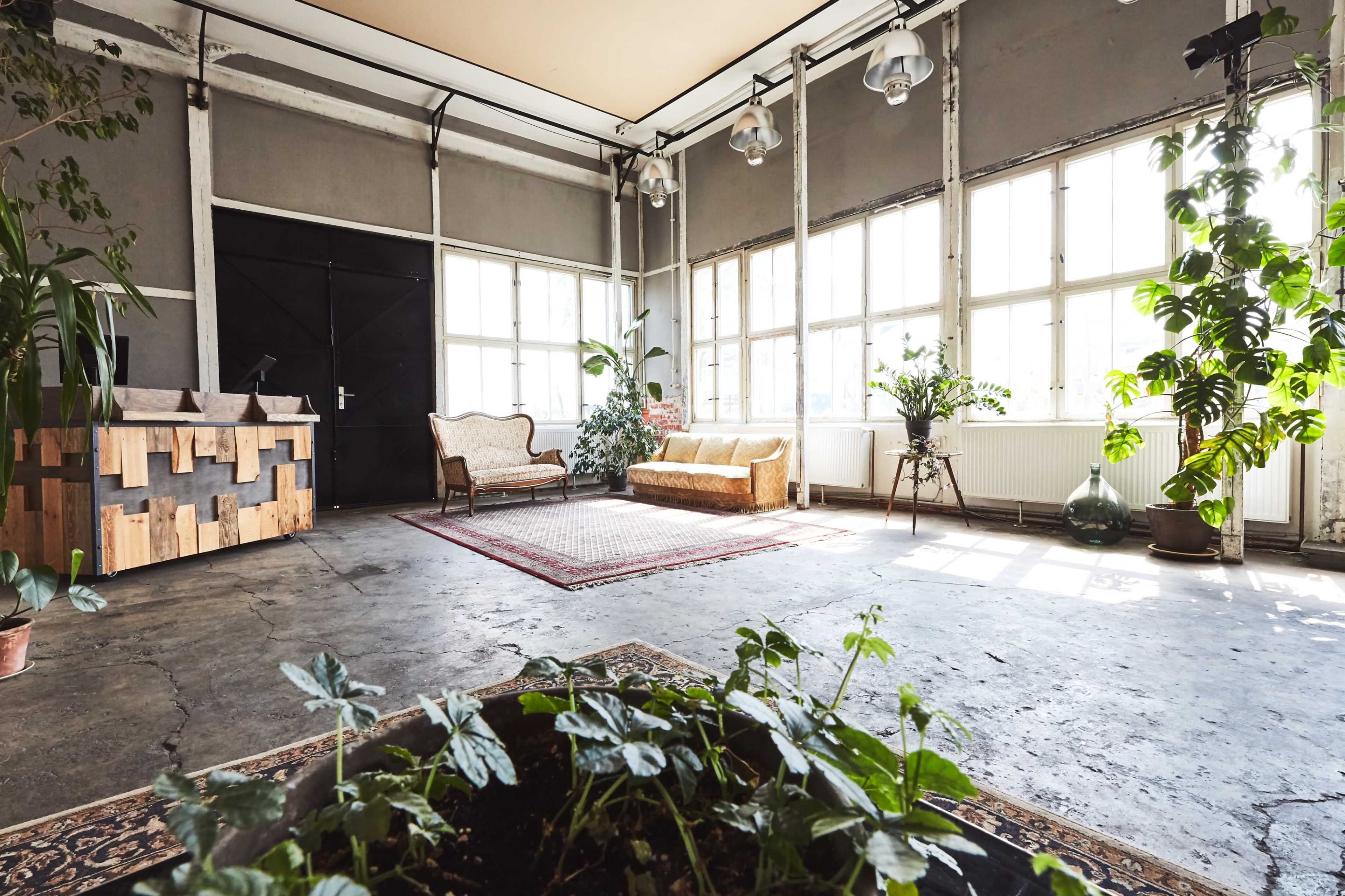 A spacious, industrial-style room with large windows, a wooden reception counter, a couch, and various plants scattered throughout.
