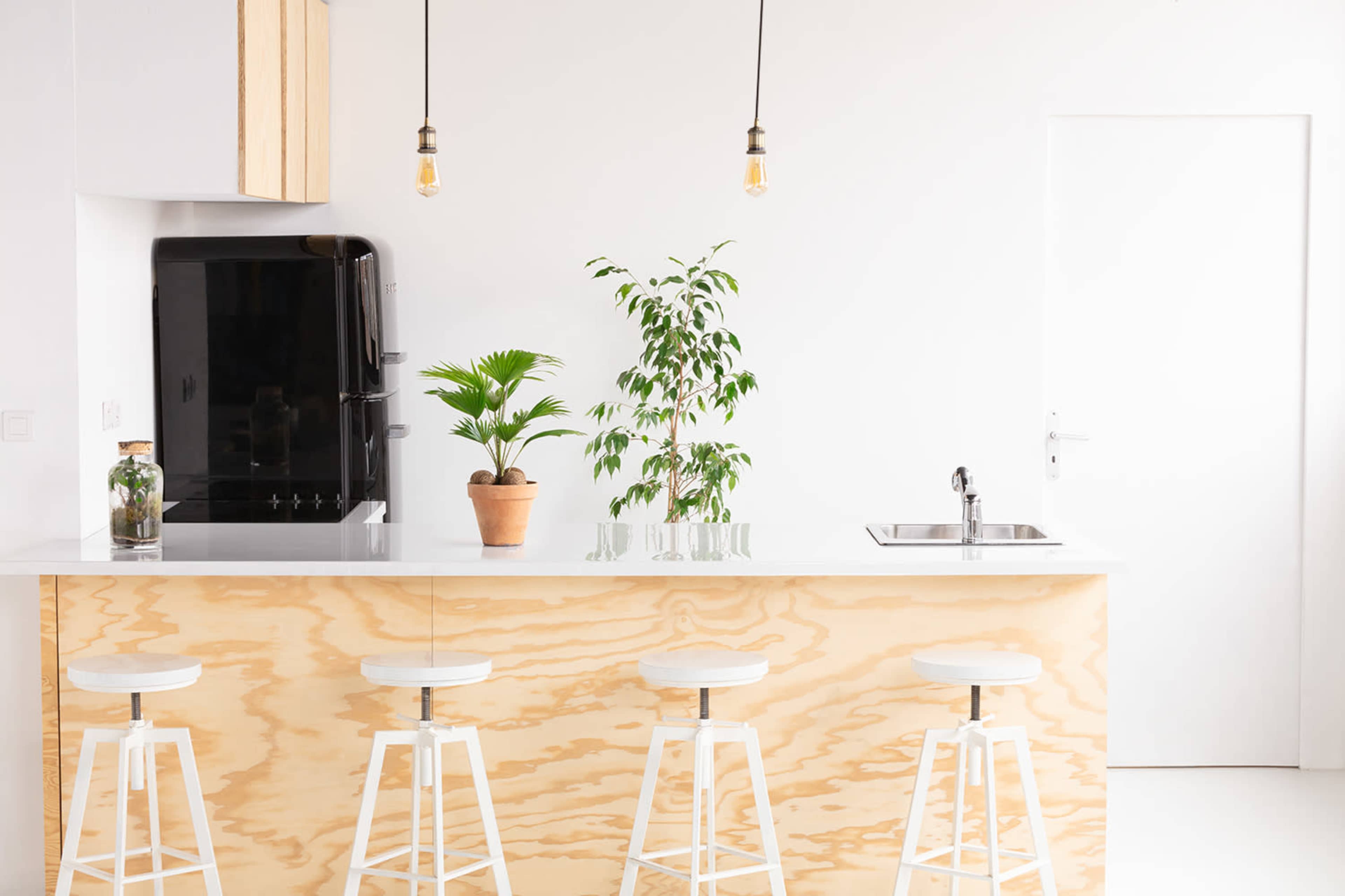 A modern kitchen features a light wood countertop with four white stools, a potted plant, and a black refrigerator against a white backdrop.