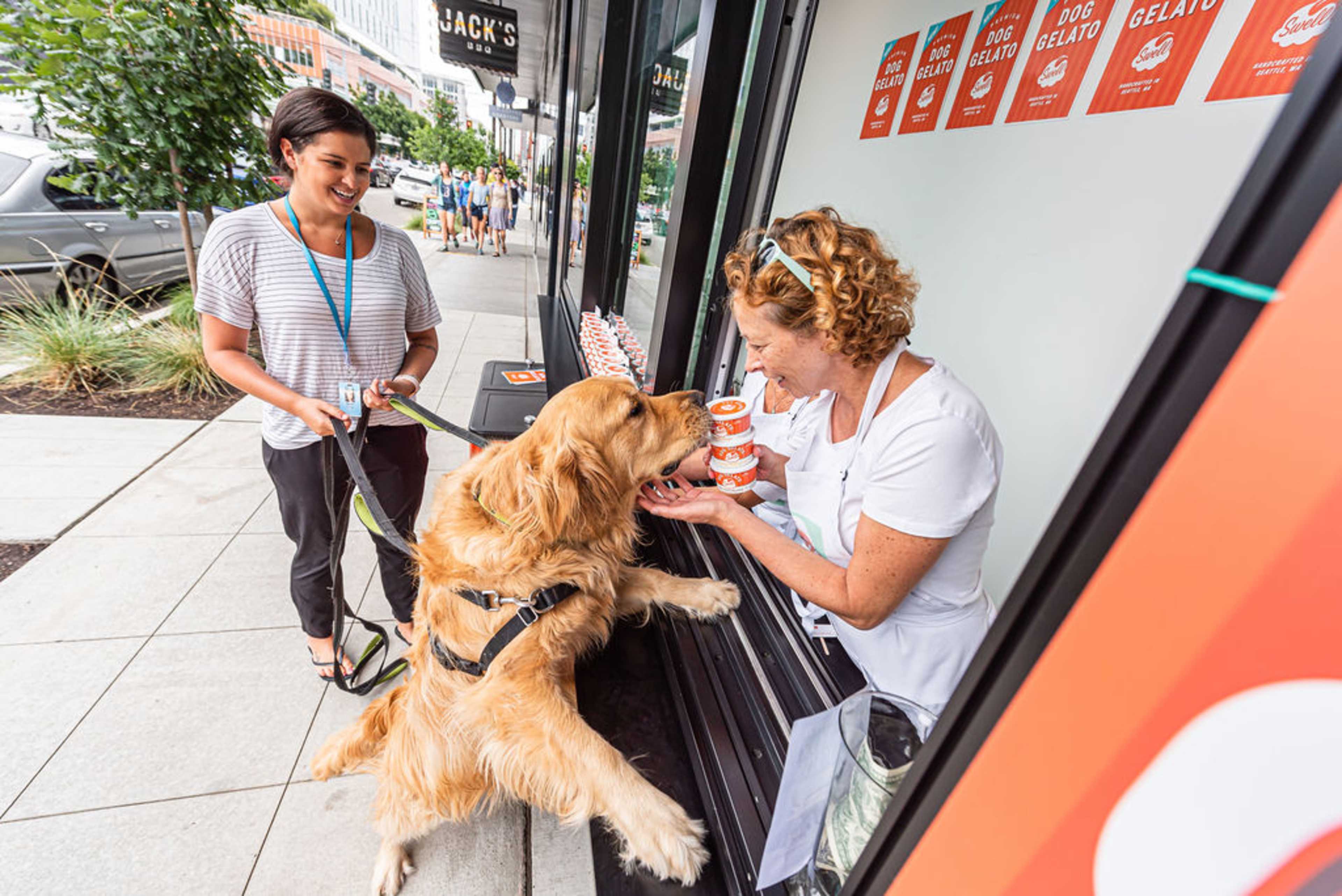 A woman hands a cup of dog-friendly ice cream to a golden retriever at an outdoor service window while another woman looks on.