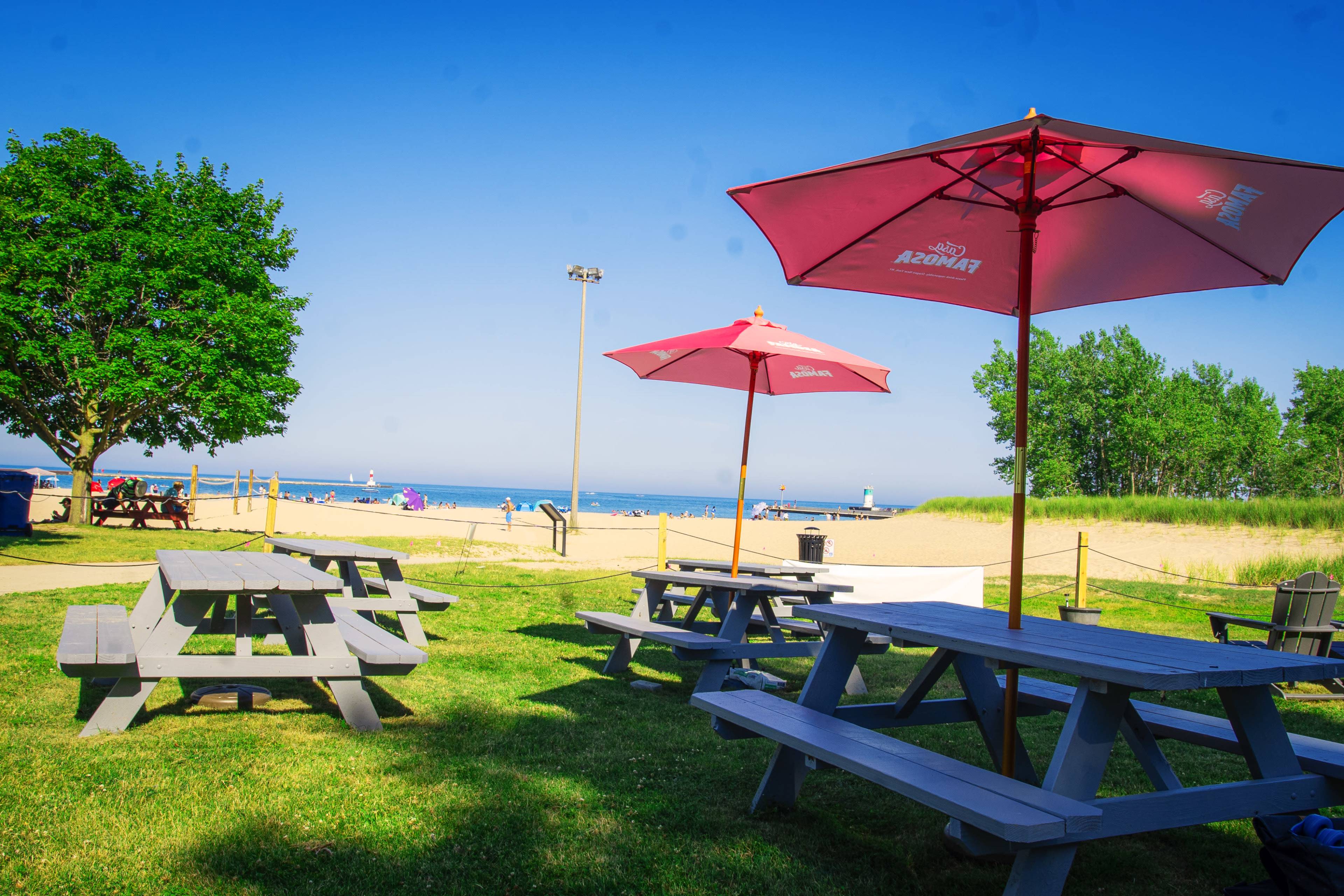 The image shows a grassy area with picnic tables and red umbrellas overlooking a beach in the background.