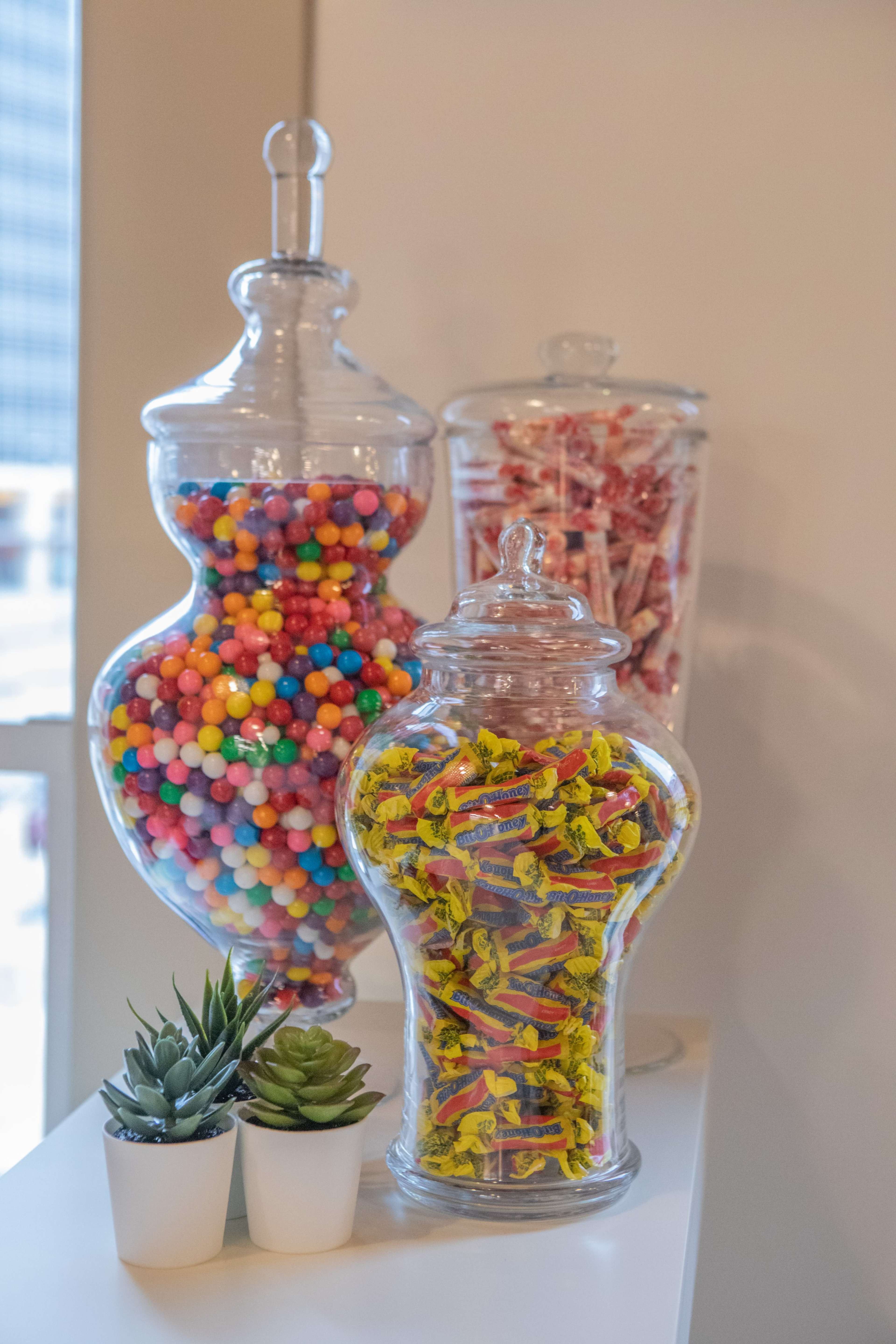 Three glass jars filled with colorful candies are displayed on a shelf beside small potted succulents.