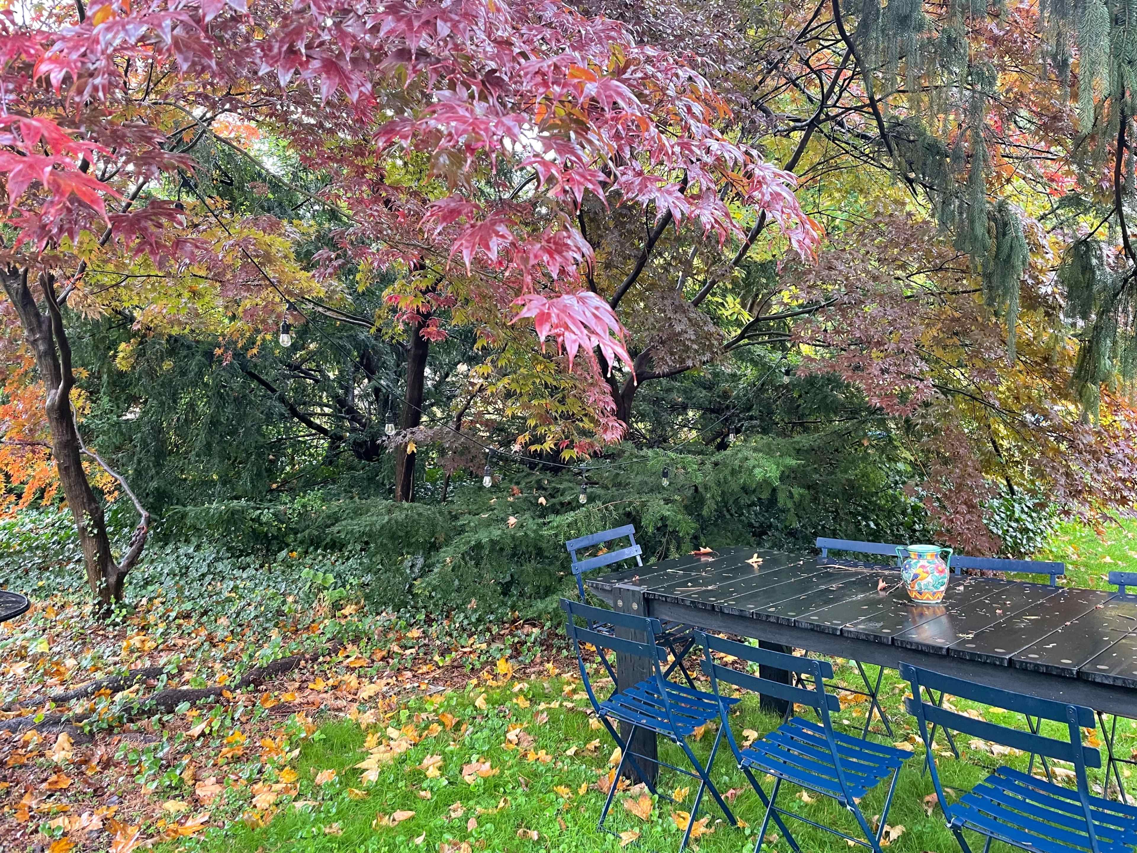 A black metal table surrounded by blue chairs is set in a garden with colorful autumn foliage and fallen leaves.