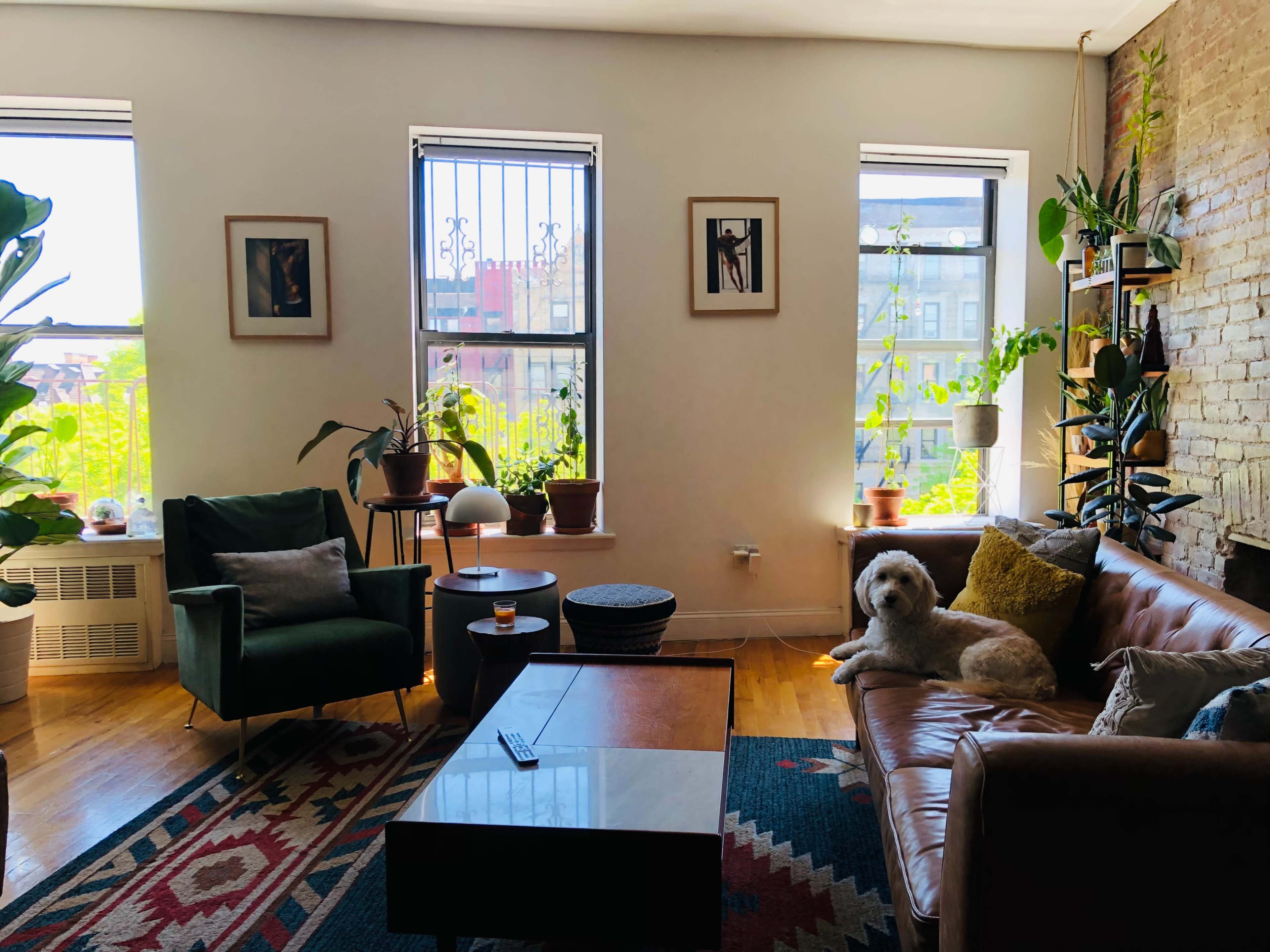 A cozy living room features a brown leather sofa, green armchair, coffee table, and several plants by large windows.