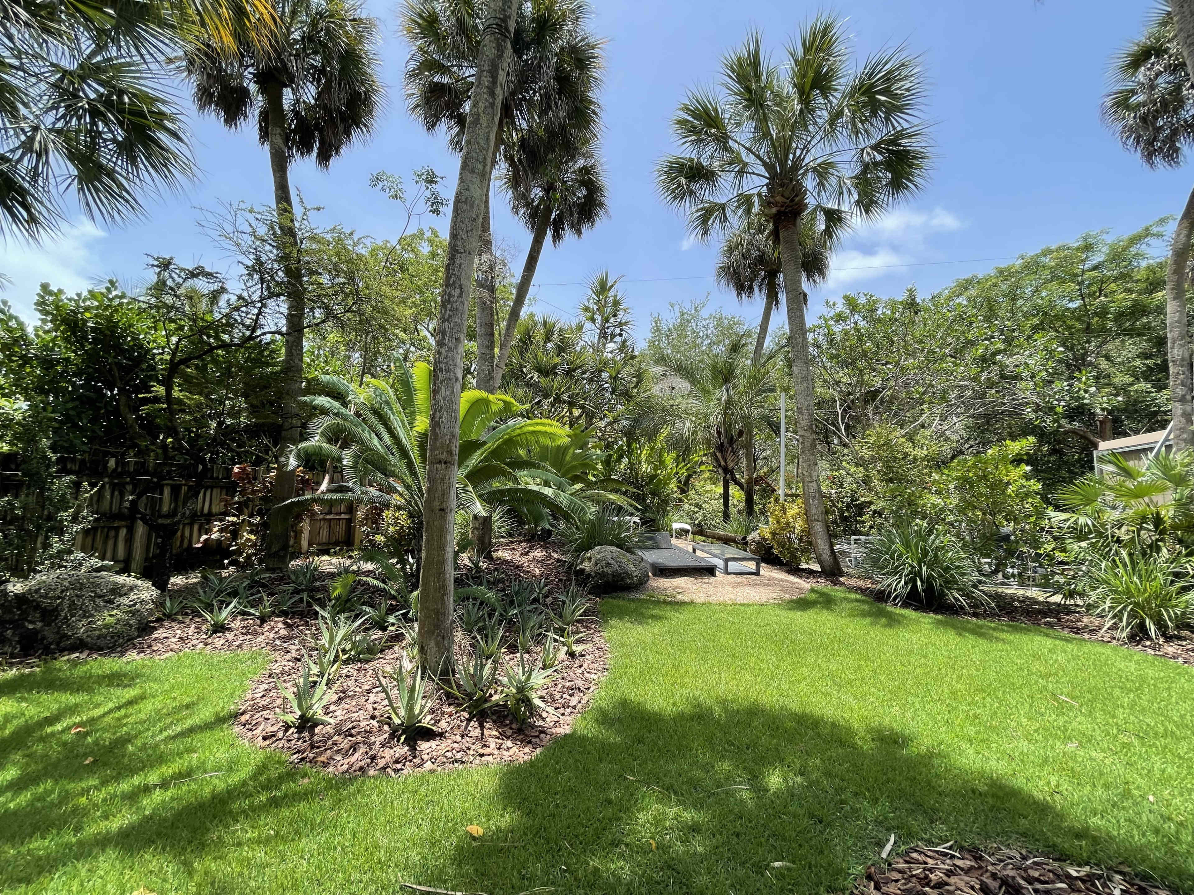 The image shows a lush garden with tropical plants and palm trees under a clear blue sky.