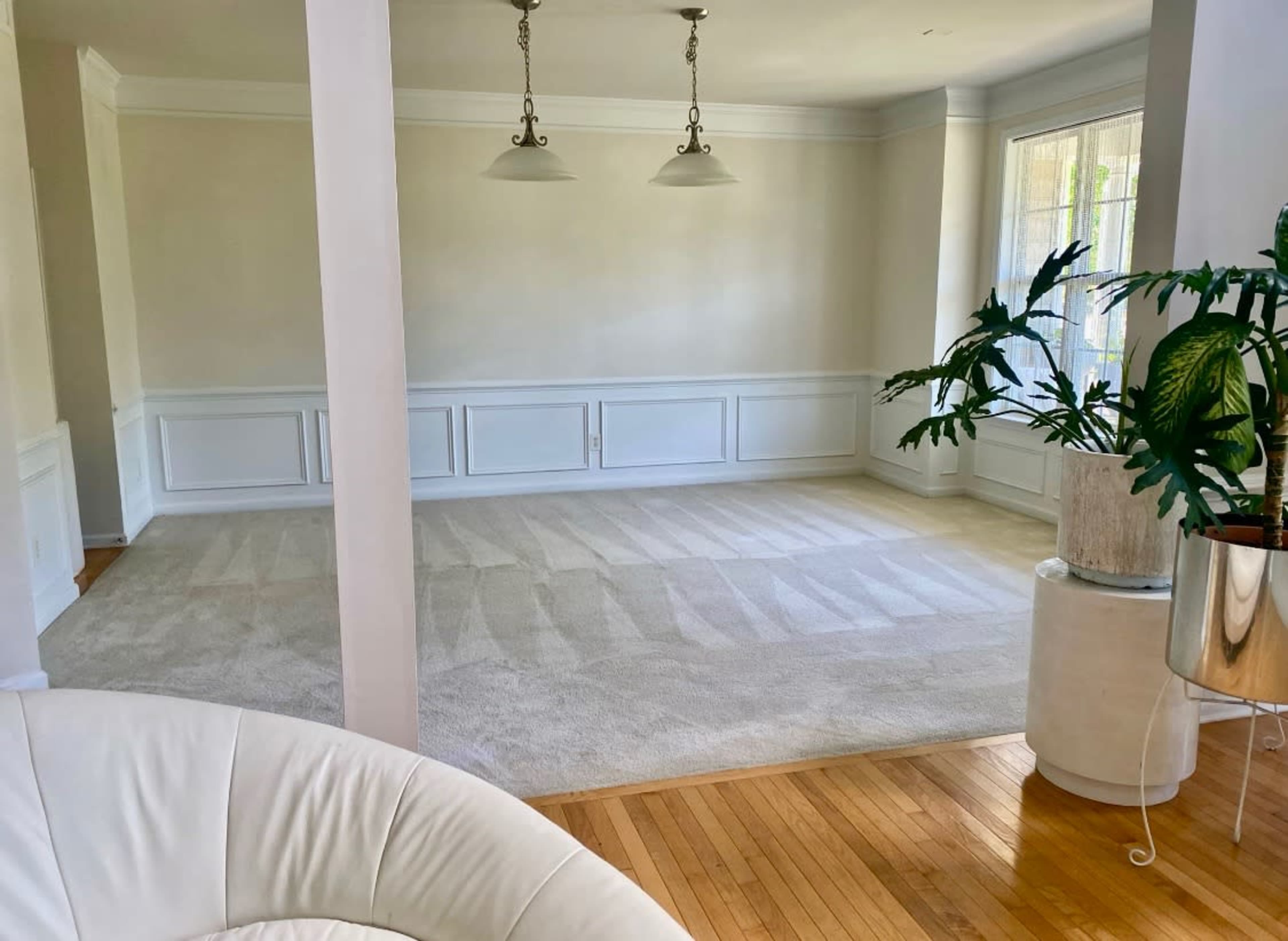 The image shows a spacious, empty room with light-colored walls, hardwood flooring, and a large area rug, featuring two pendant lights and a potted plant by the window.