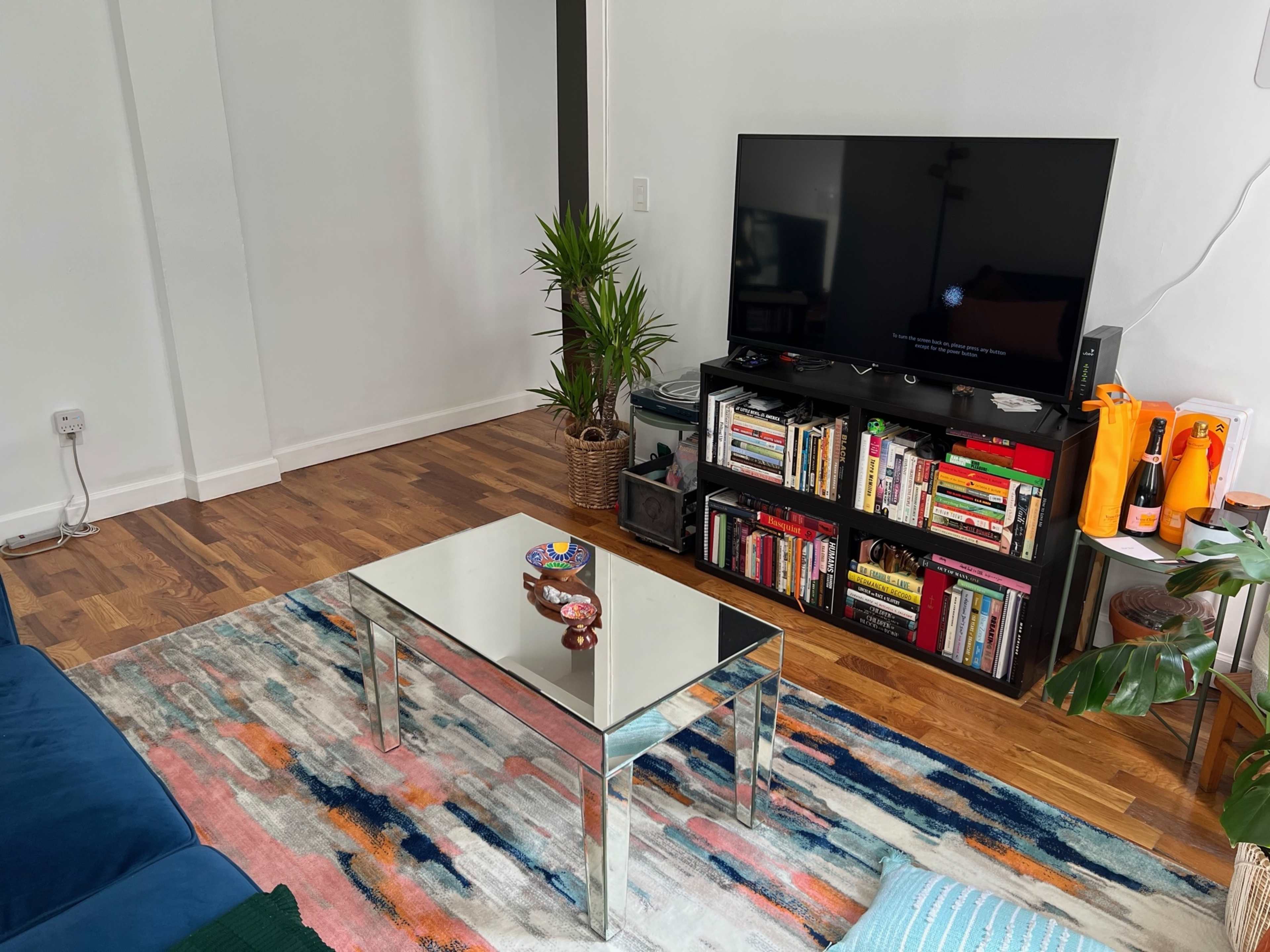 A living room features a mirrored coffee table, a television on a black shelf filled with books, and a green plant in a woven basket beside a blue couch.