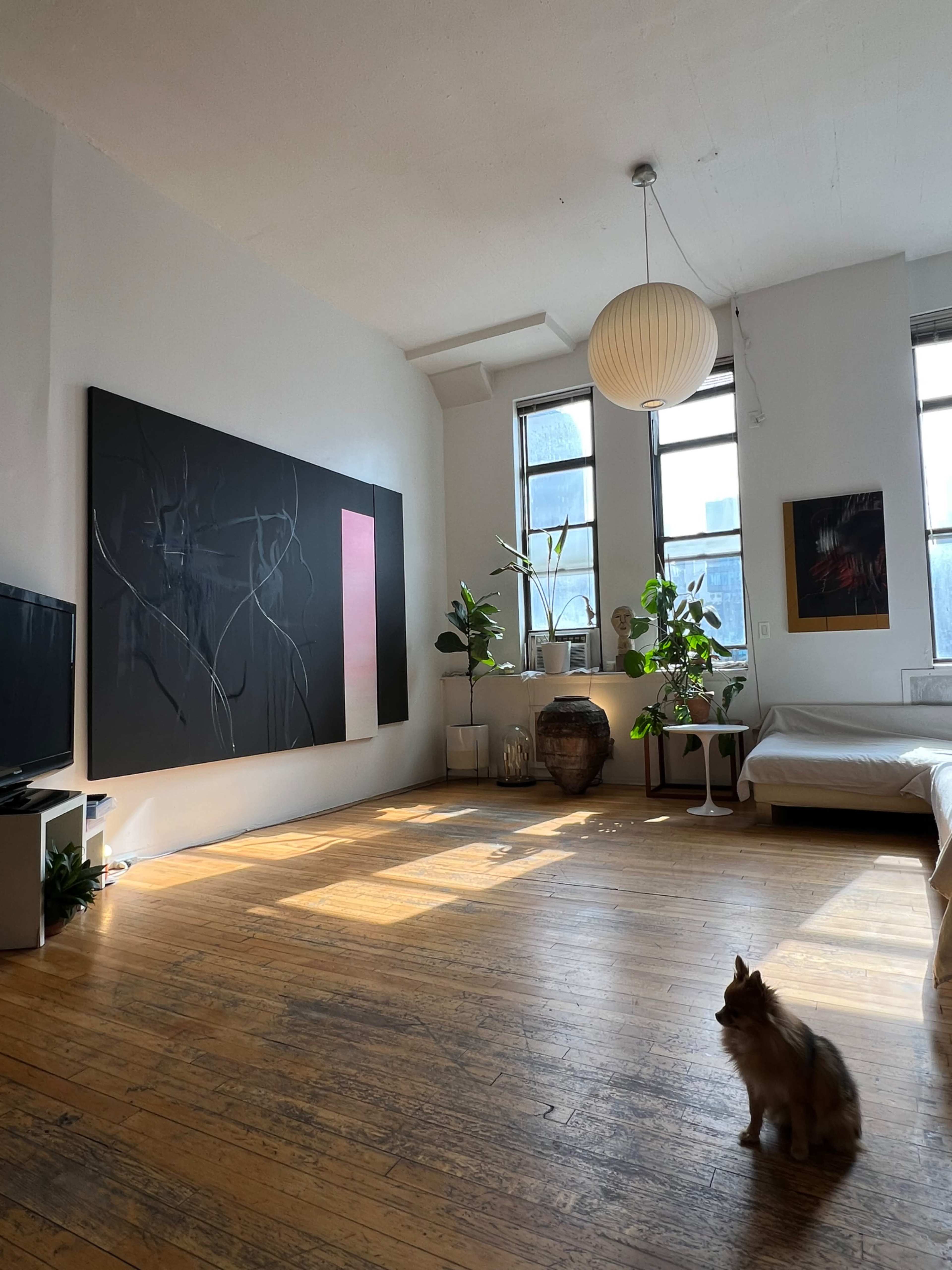 The image shows a spacious, sunlit room with hardwood floors, a large abstract painting on the wall, a white bed, and a cat sitting on the floor.