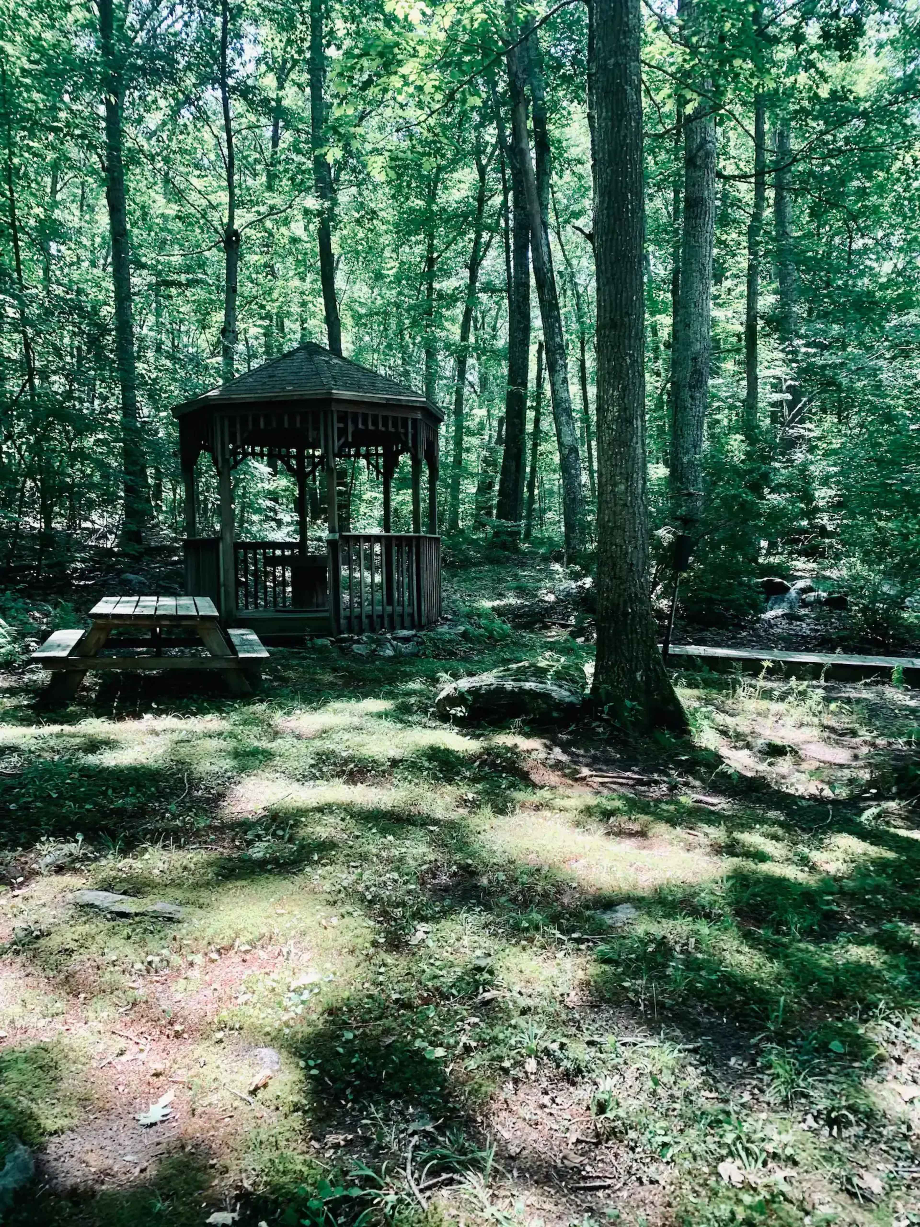 A wooden gazebo is situated in a forest clearing surrounded by trees and a picnic table nearby.