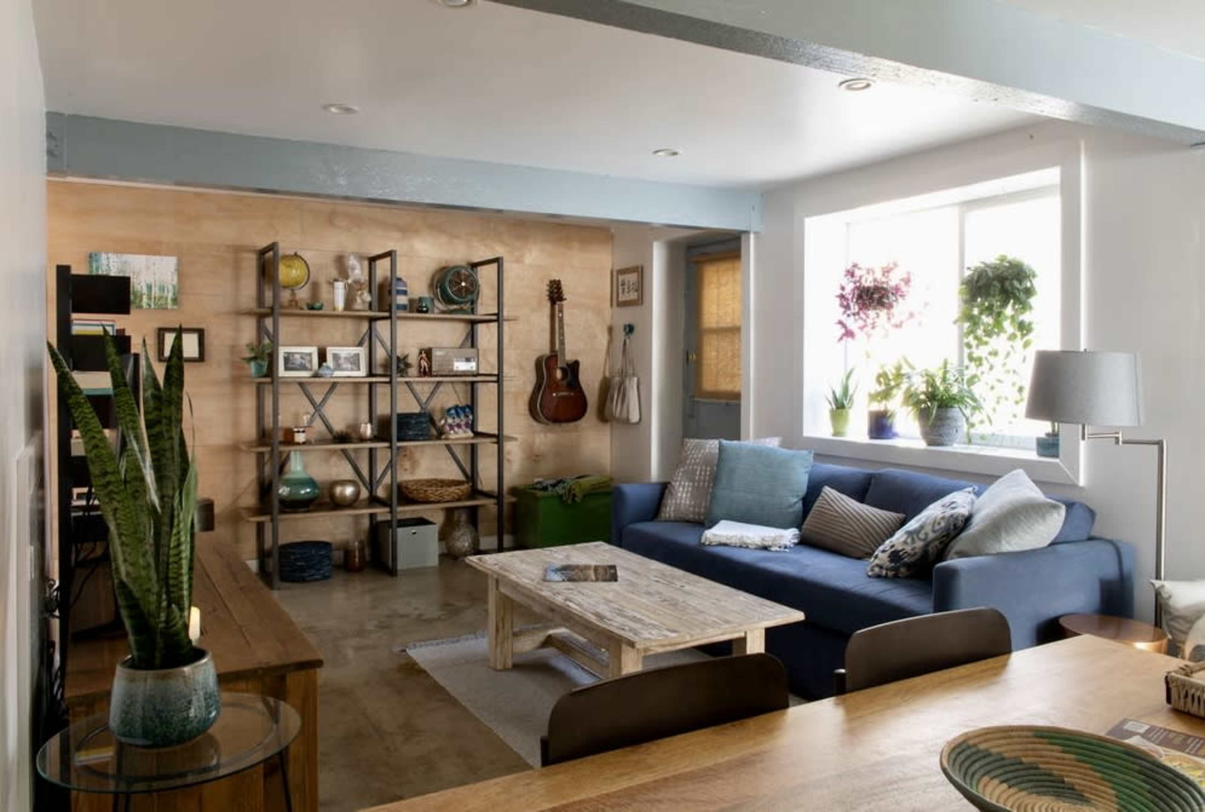 A modern living room with a blue sofa, a wooden coffee table, a bookcase filled with decorative items, and large windows with plants.