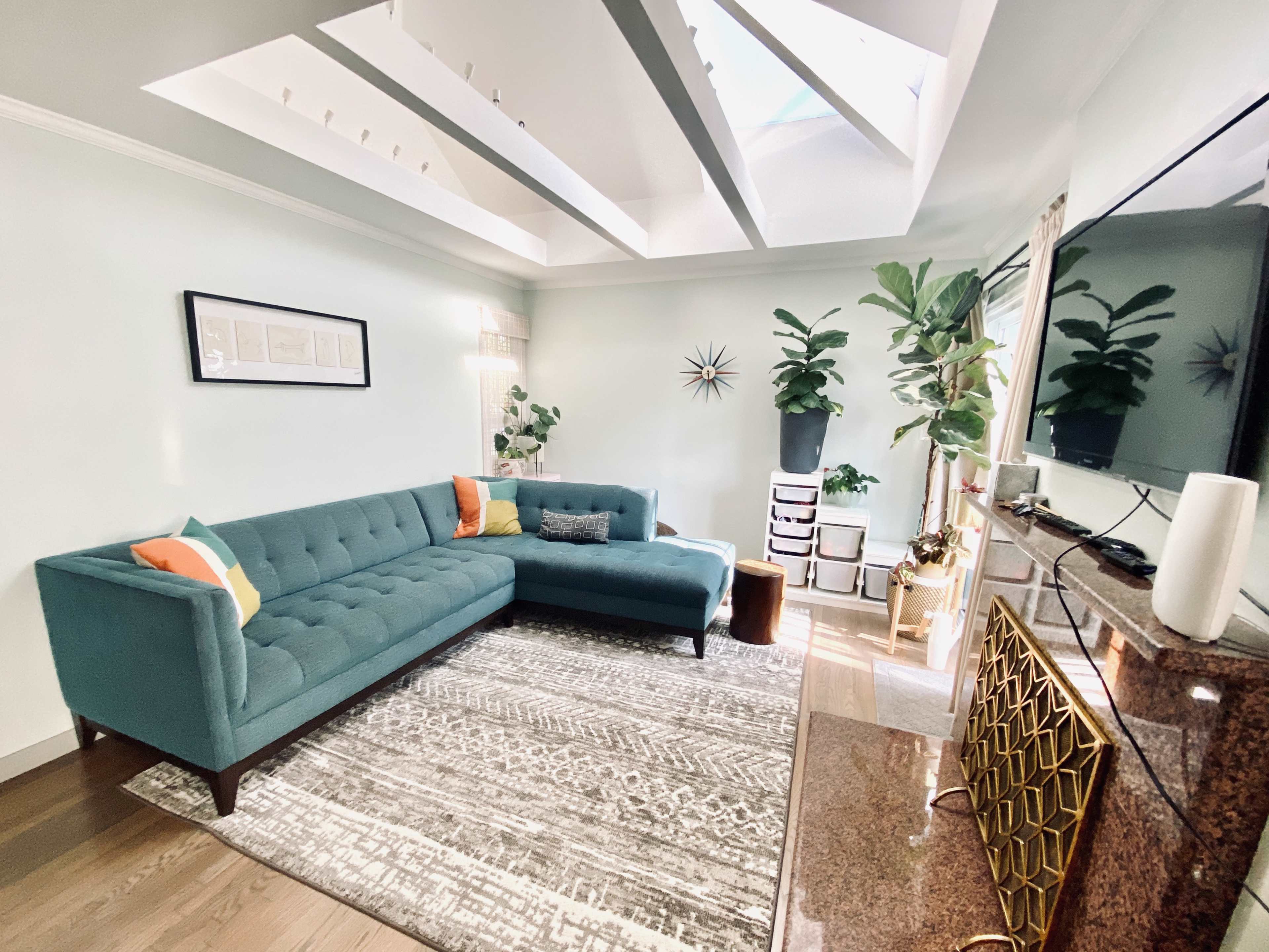 A modern living room featuring a teal sectional sofa, a patterned area rug, large indoor plants, and a flat-screen TV against a light-colored wall.