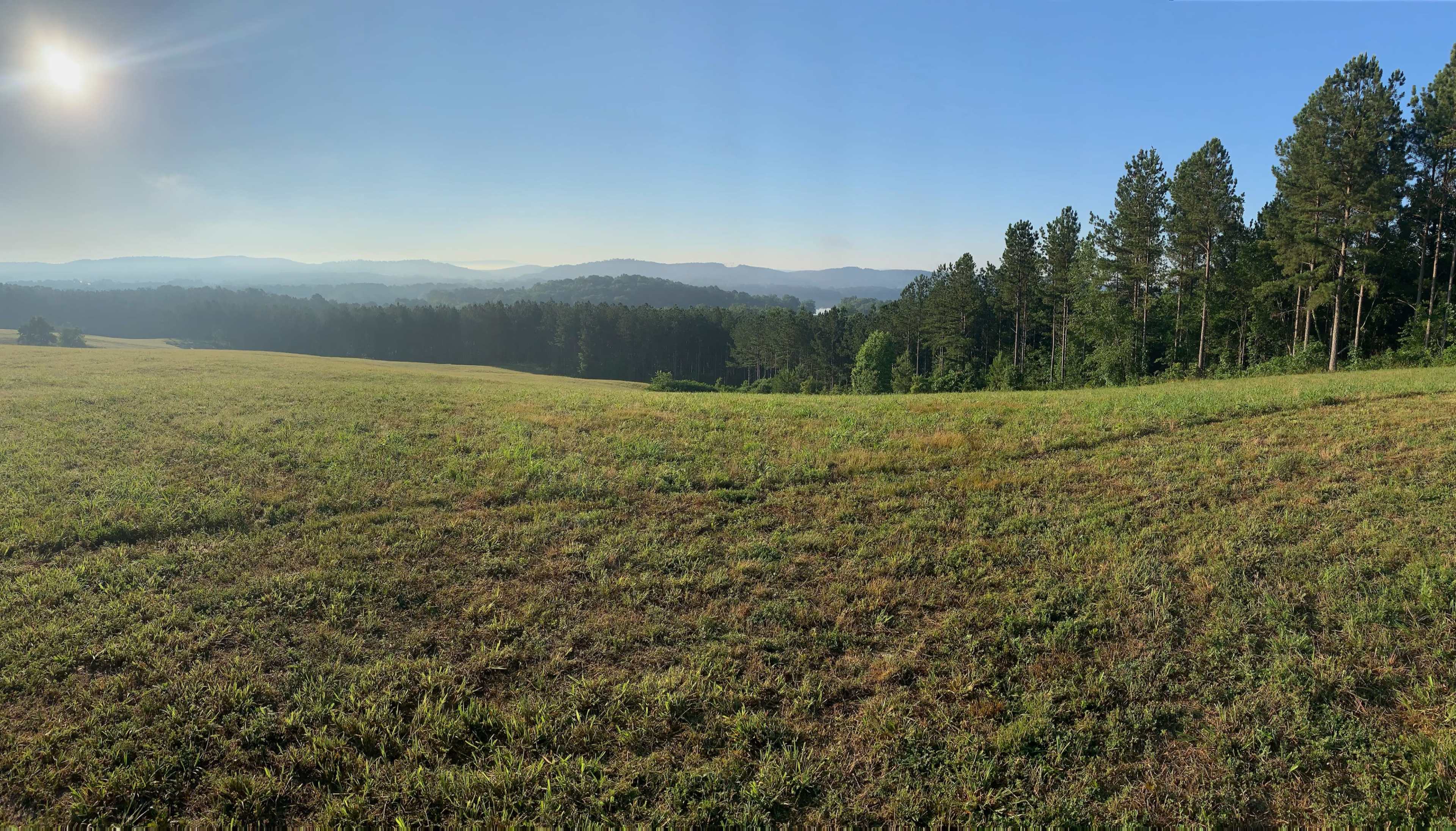 A wide grassy field extends toward a backdrop of distant mountains, bordered by a dense line of trees under a clear blue sky.
