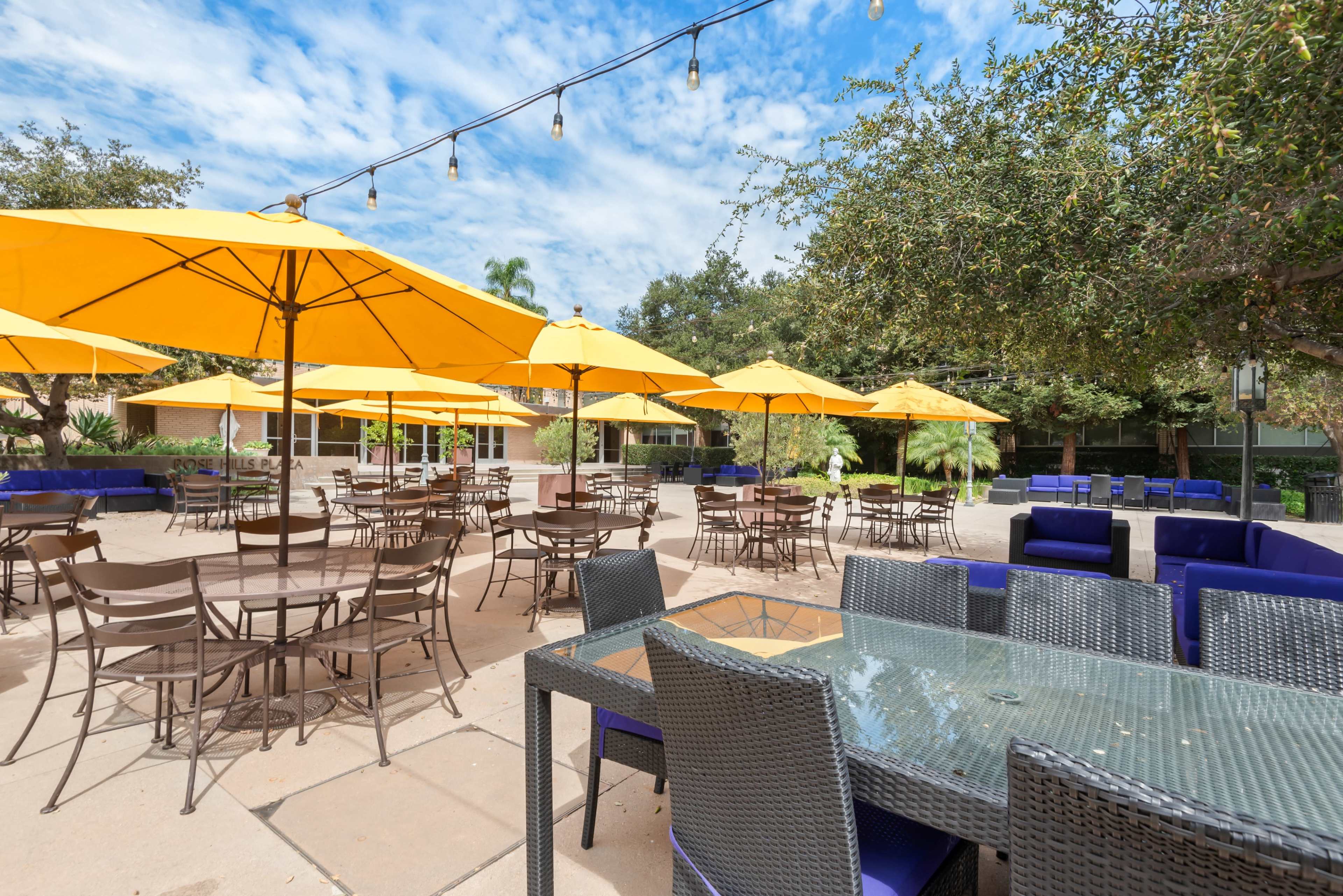 A patio area features rows of tables and chairs under large yellow umbrellas, surrounded by greenery and string lights.