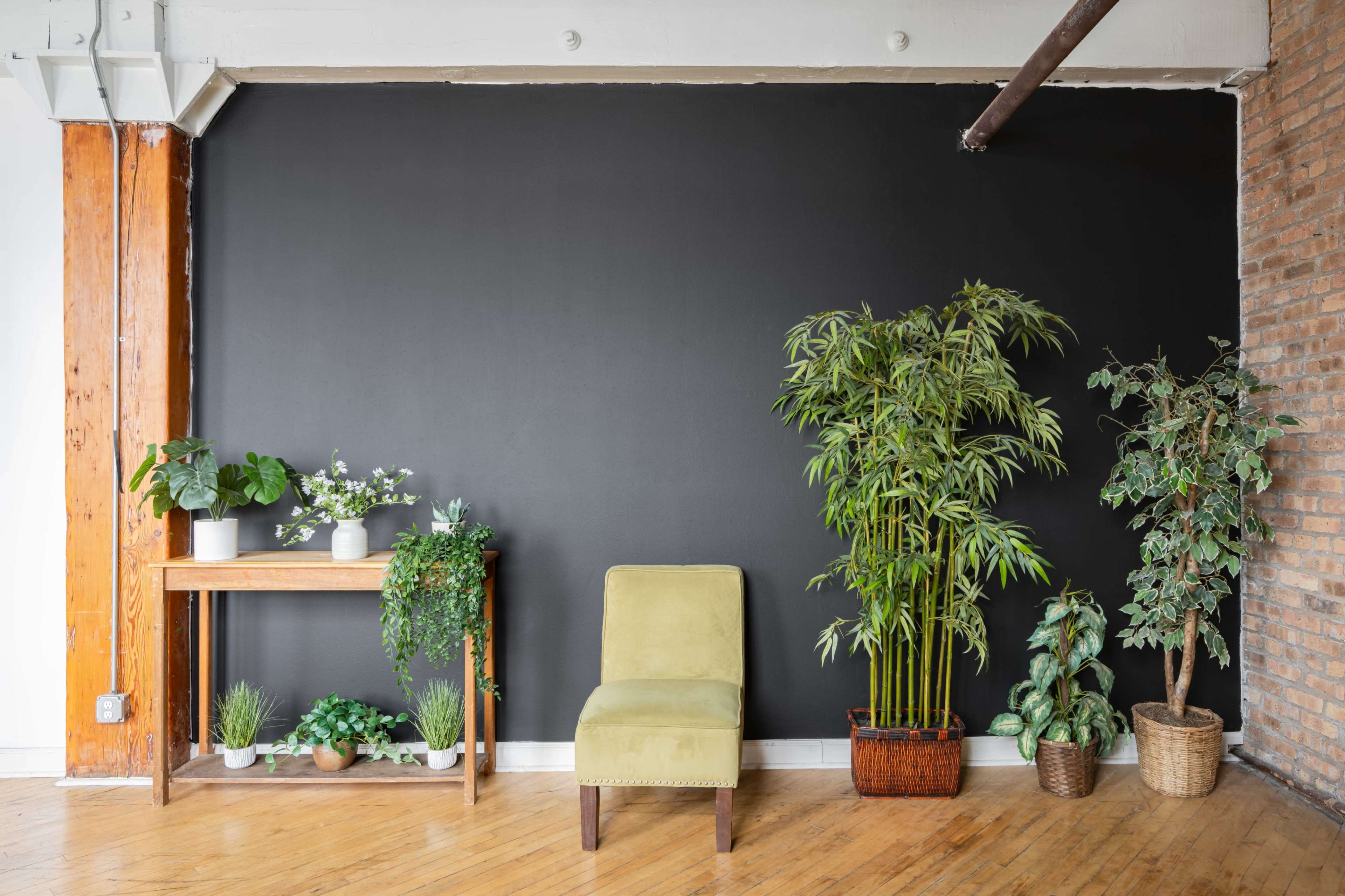 A room features a black wall, a green chair, a wooden table with potted plants, and various plants in baskets and pots around the space.
