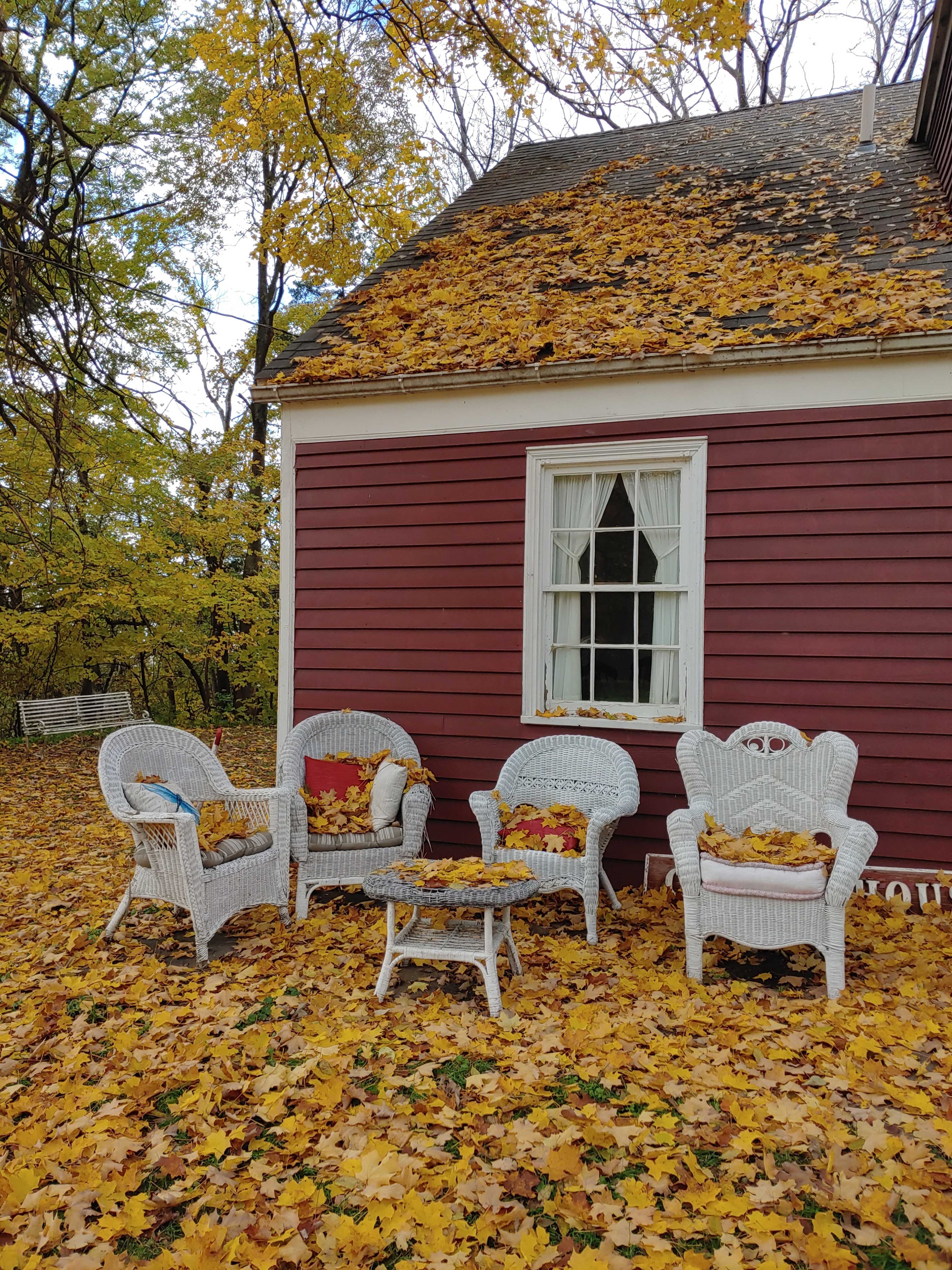 A quaint red house features a small seating area of white wicker chairs surrounded by a carpet of colorful autumn leaves.