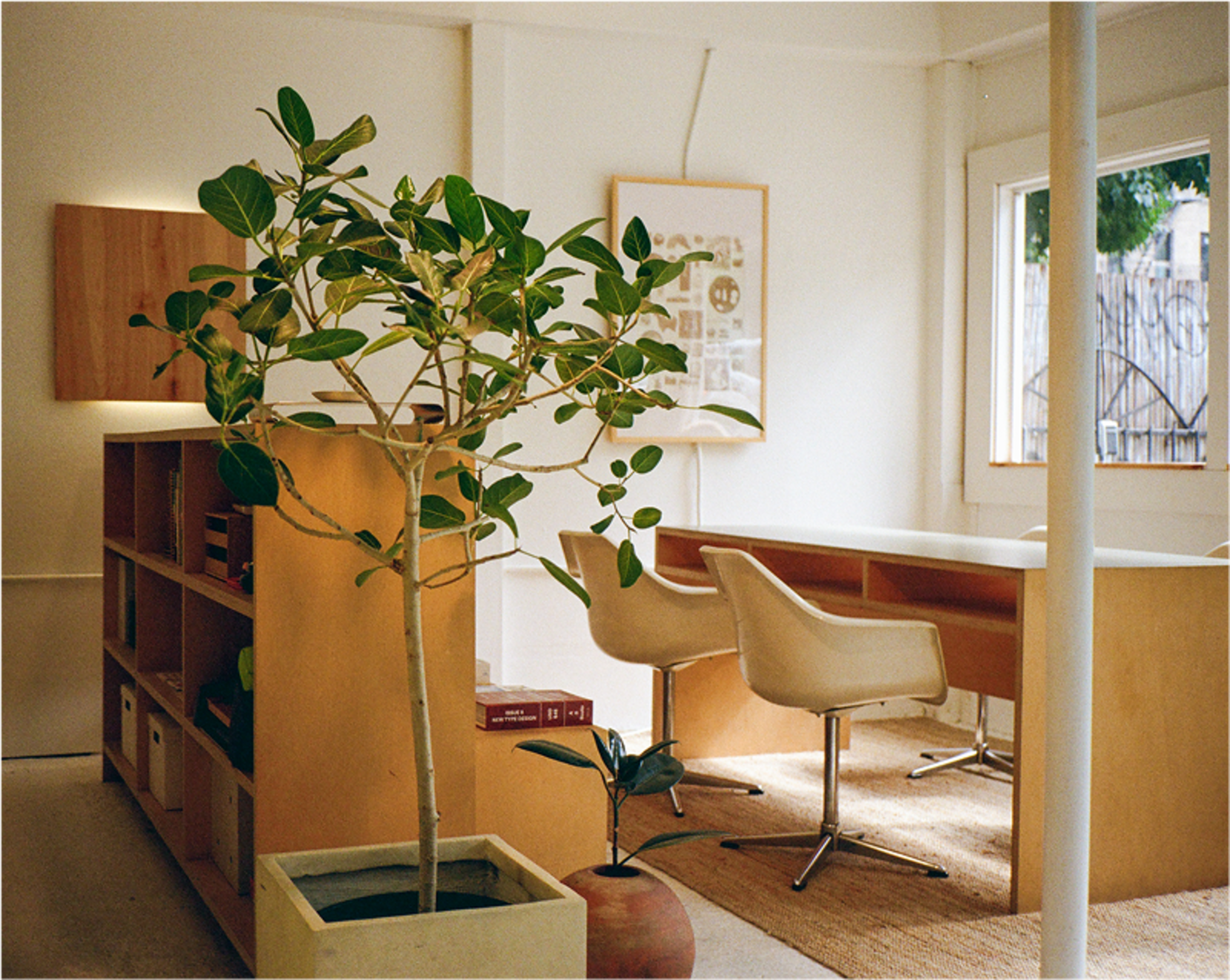 The image shows a minimalist office space featuring a small indoor plant, a wooden shelving unit, and a white desk with two ergonomic chairs.