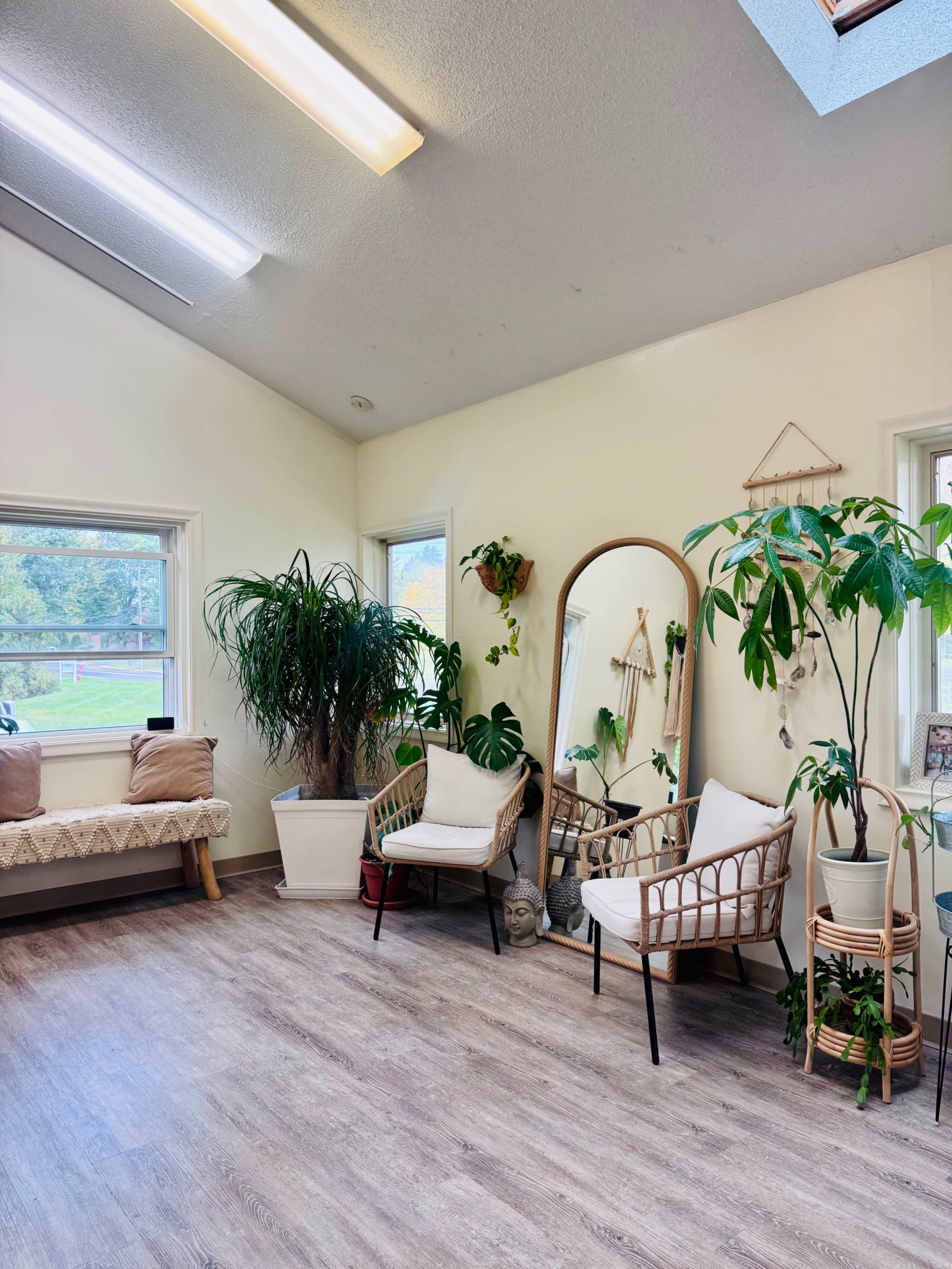 The image shows a light-filled room with two rattan chairs, a bench, large plants, and a mirror against the wall.