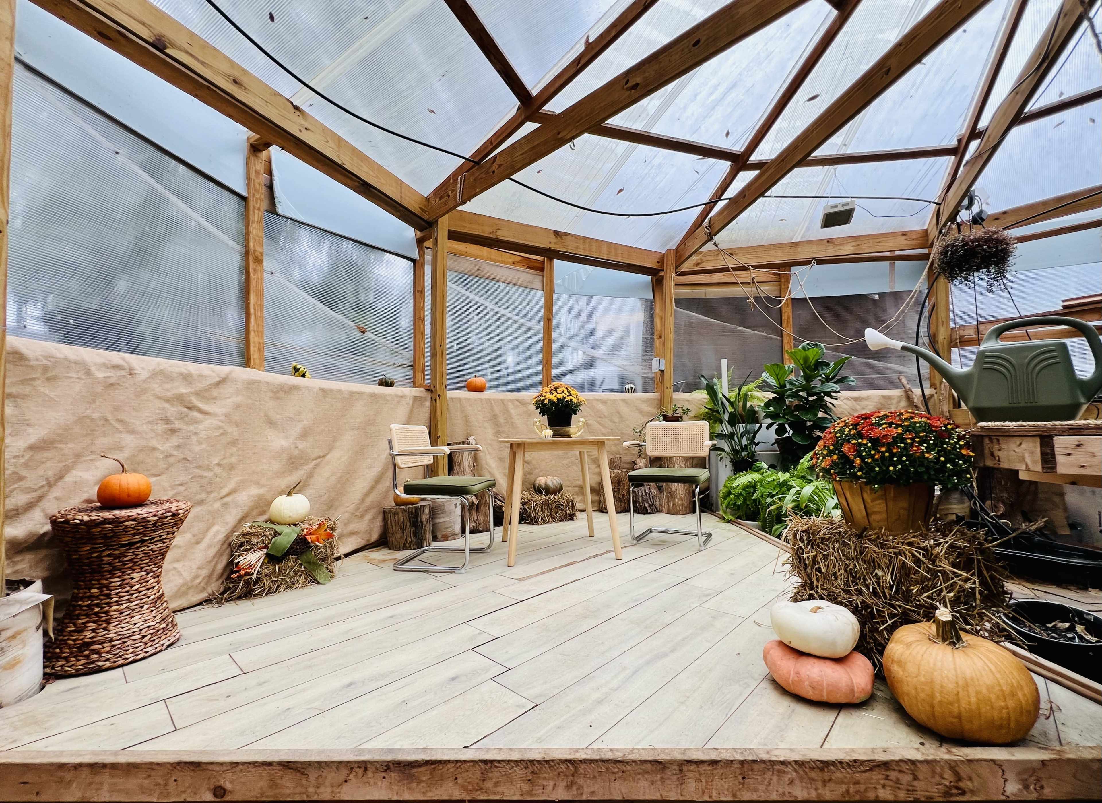 Cozy Greenhouse and Rustic Cottage Image in Peppertree Forest, Antioch, TN