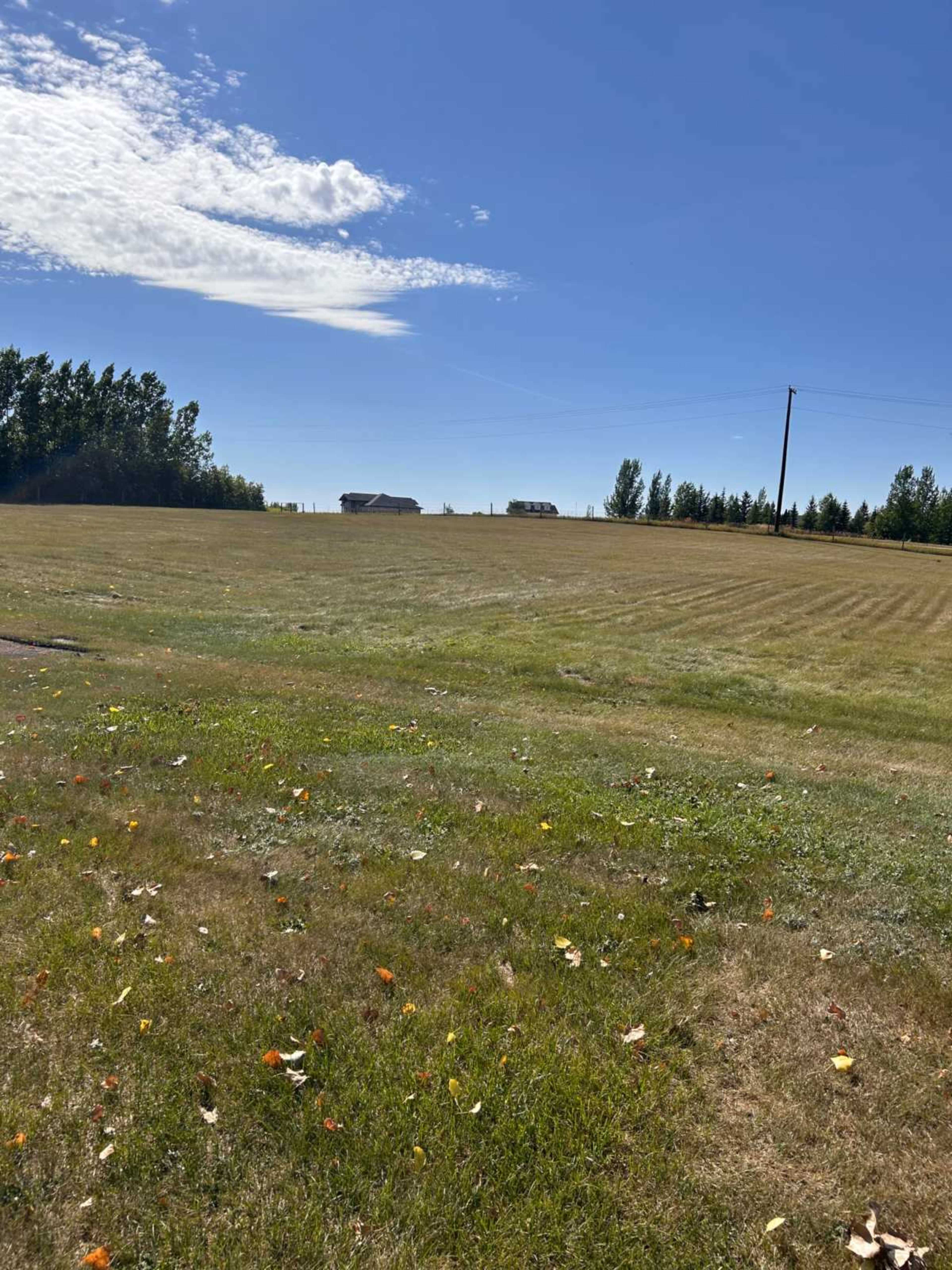 The image shows a wide, open field under a clear blue sky with a few scattered clouds, lined by trees in the background.