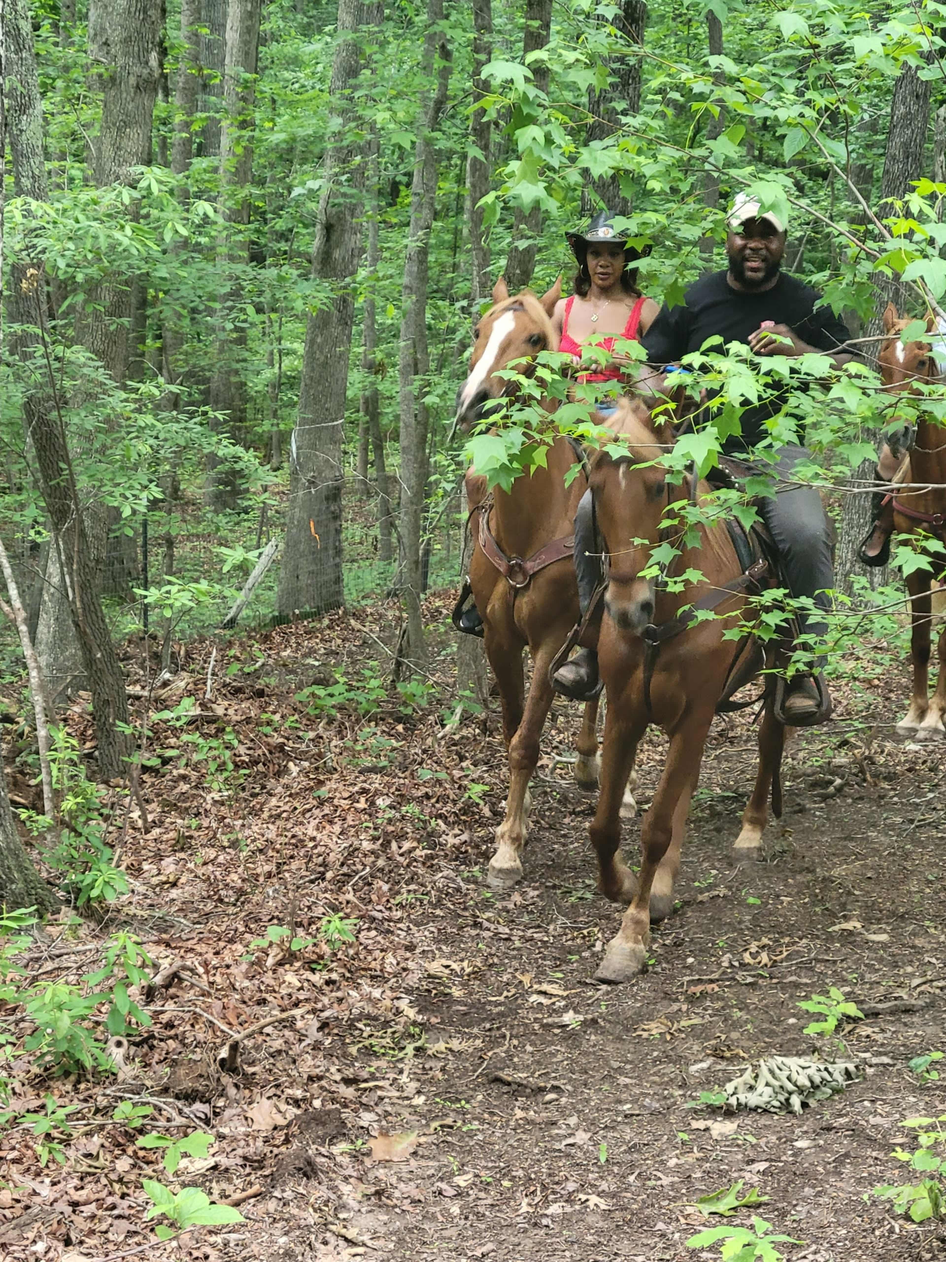 Sweet Rose Farms Horses, goats, and chickens Image in , Douglasville, GA