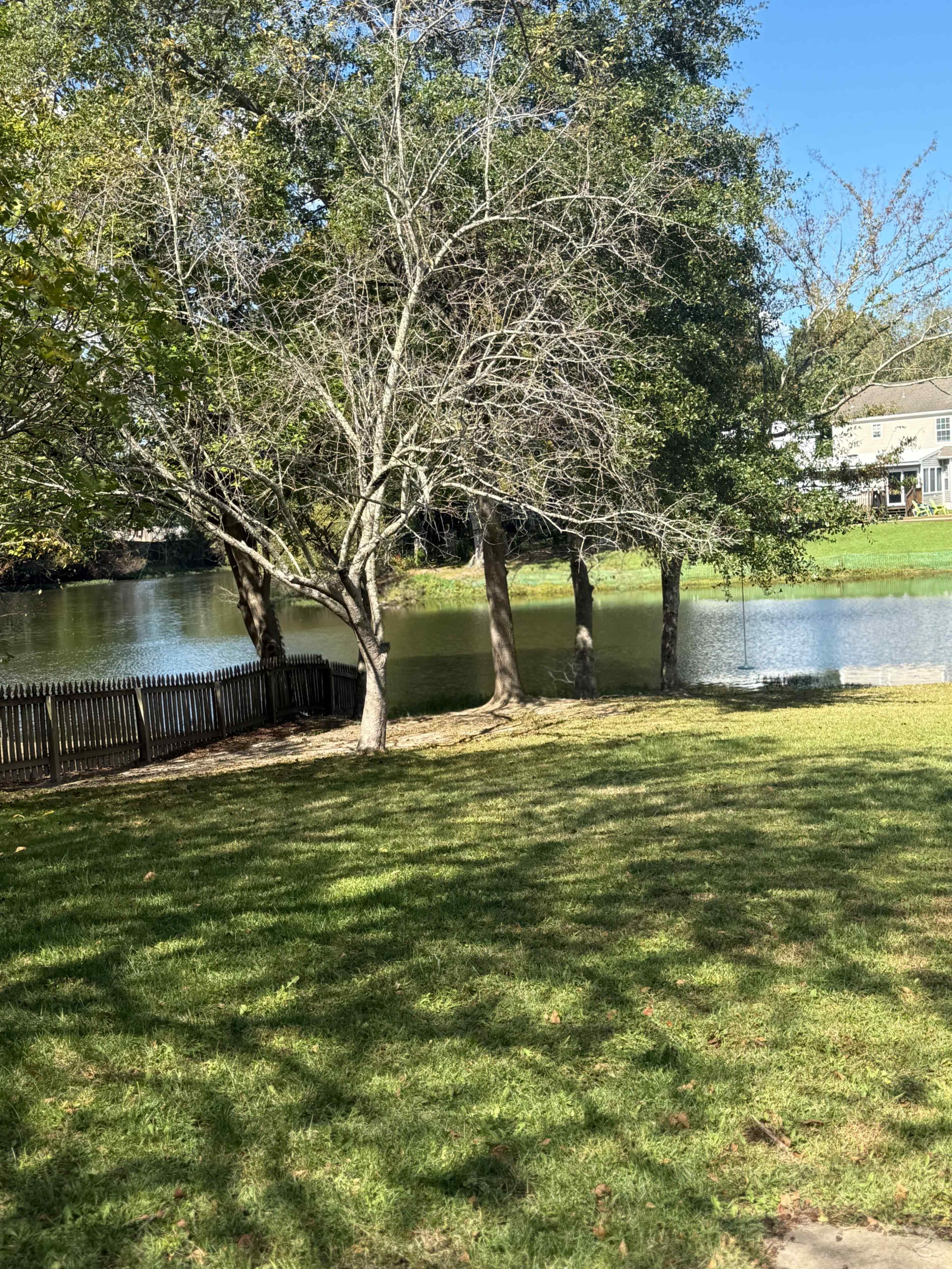 Experience the Most Beautiful Hidden Gem Image in Suffolk, Suffolk, VA