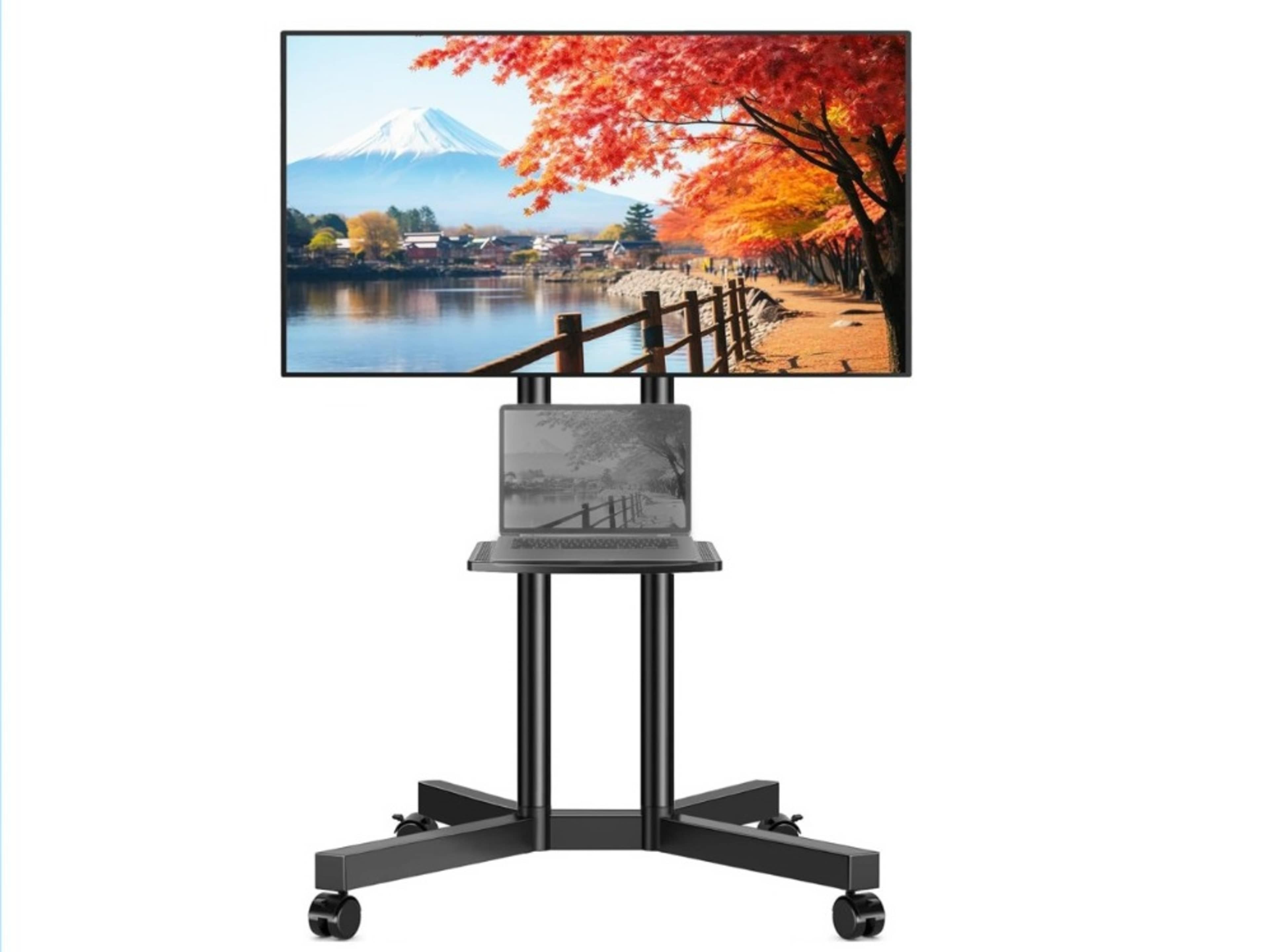 55" 4K TV on Rolling stand 