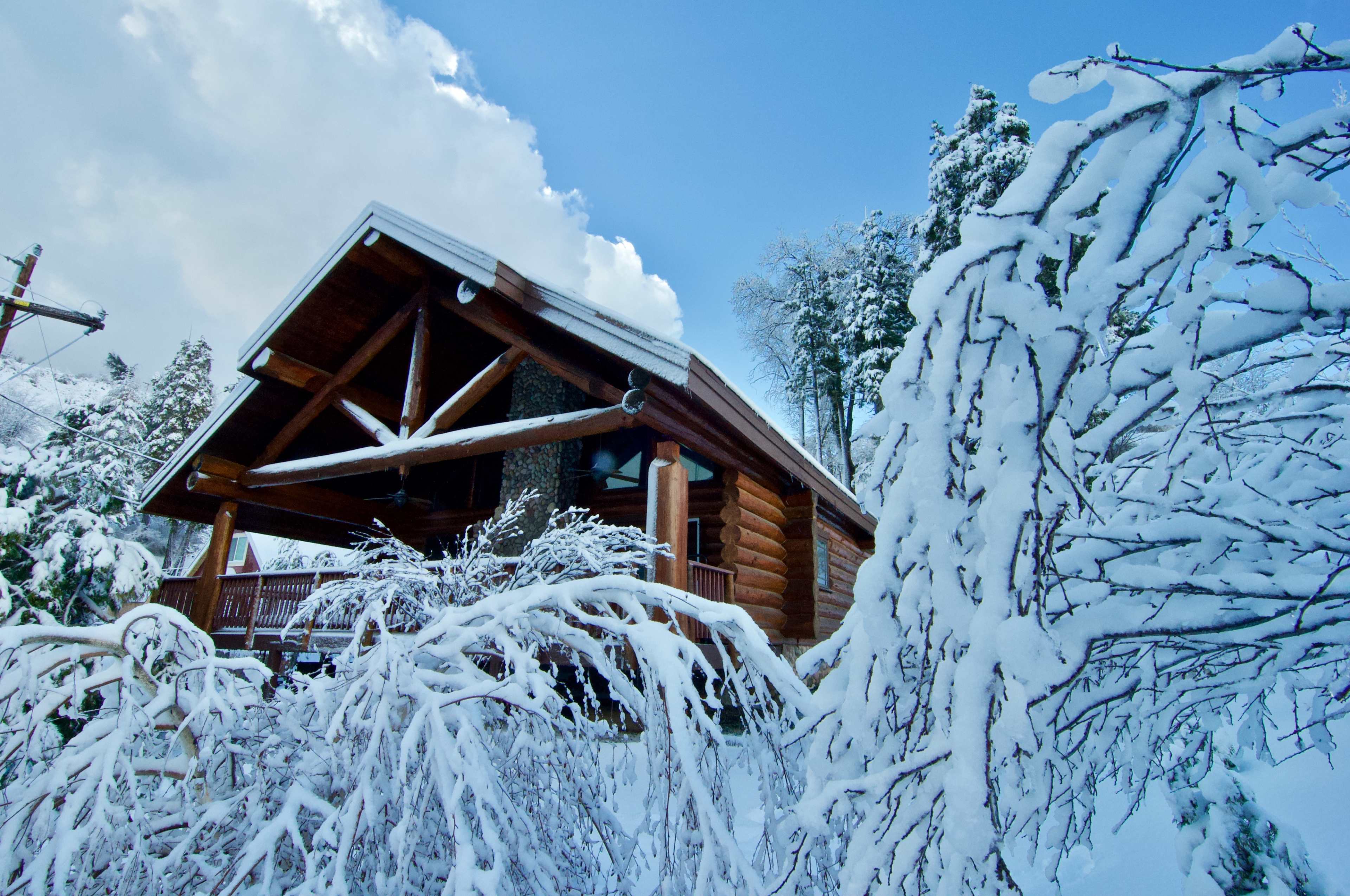 A log cabin is partially obscured by heavy snow-covered branches against a clear blue sky.