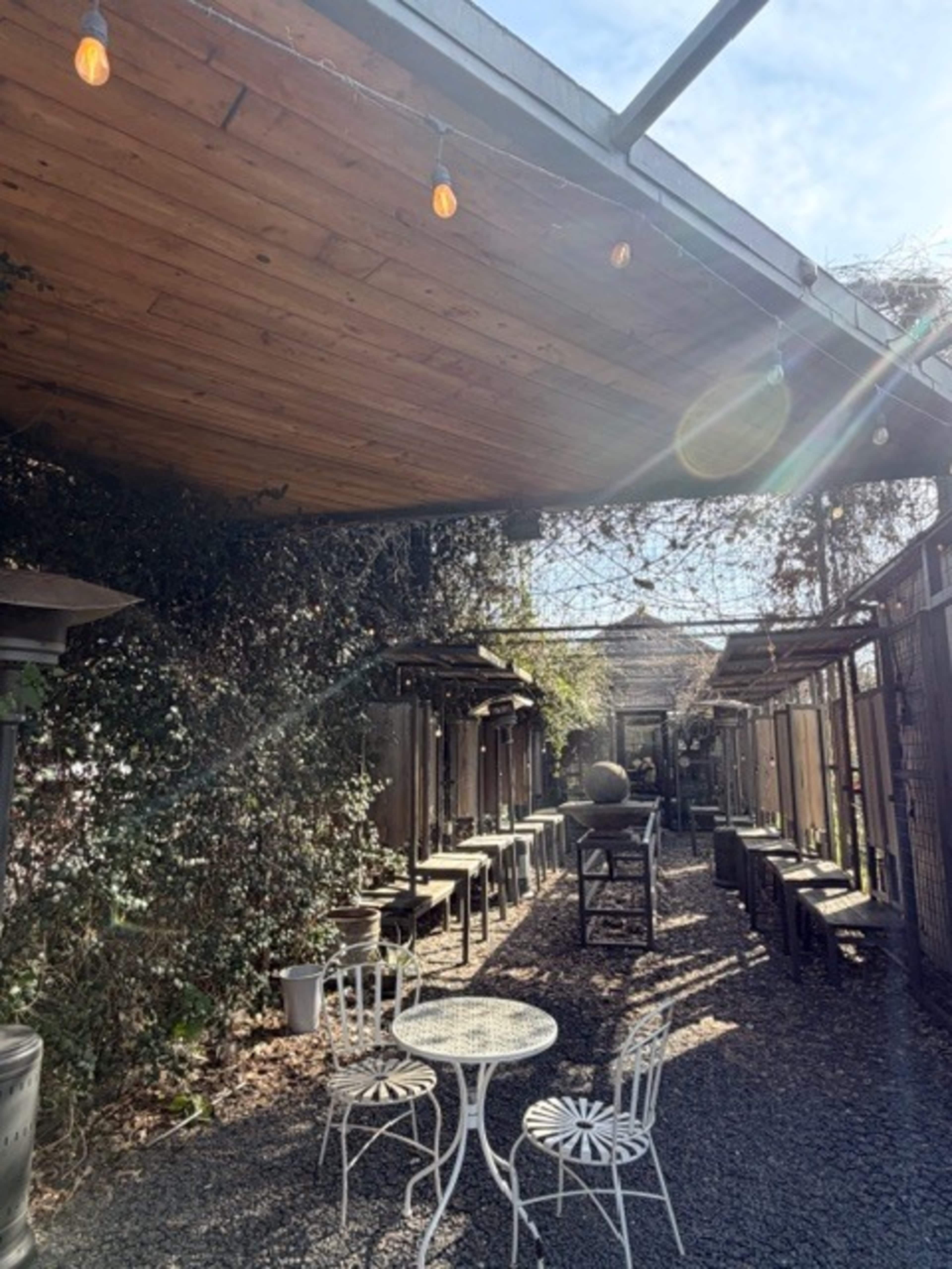 Inner City- Coffeeshop Oasis- nothing like this in HTX, secret garden and rustic Image in Greater Third Ward, Houston, TX