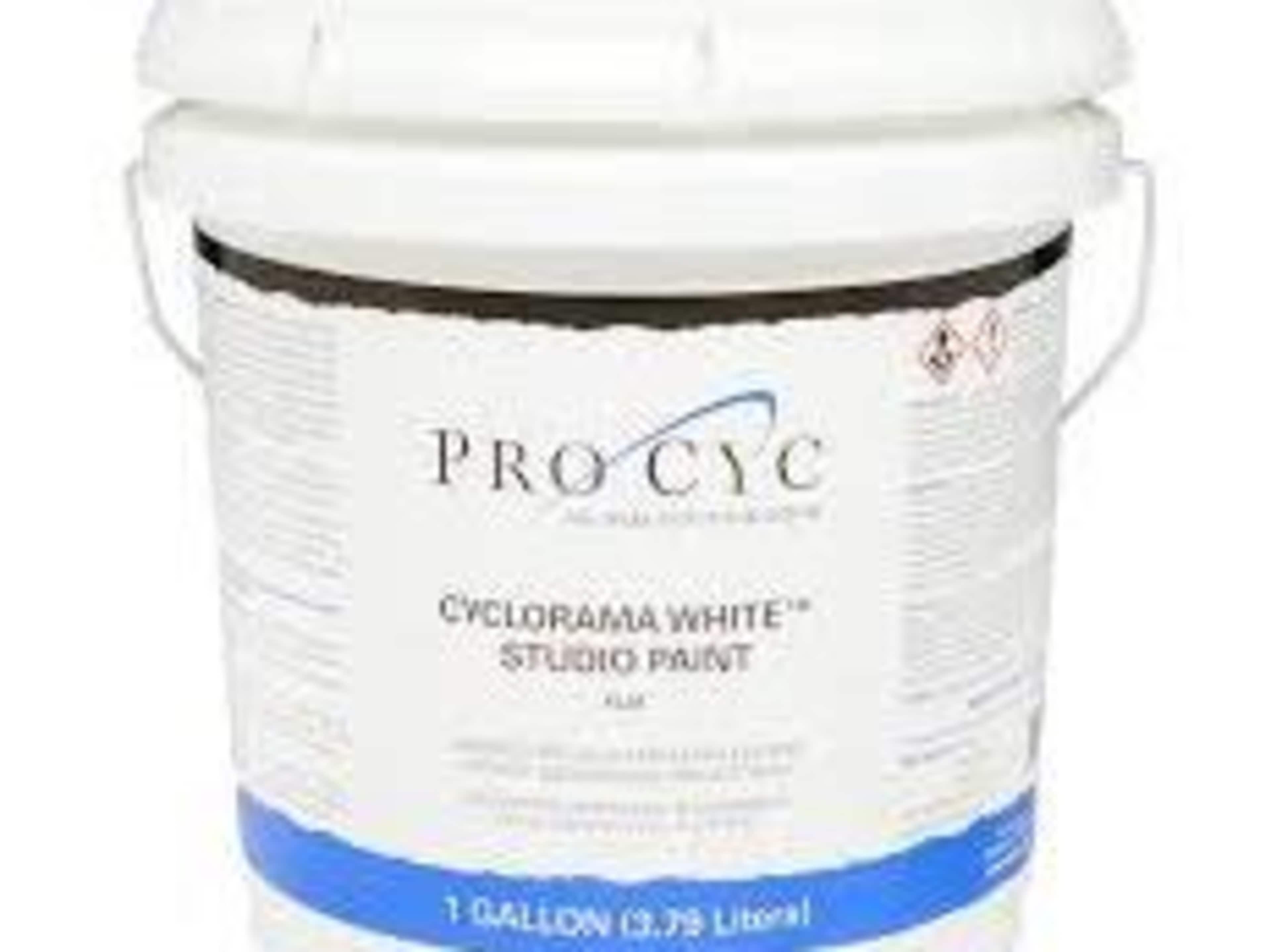 PAINT PURCHASE from home depot