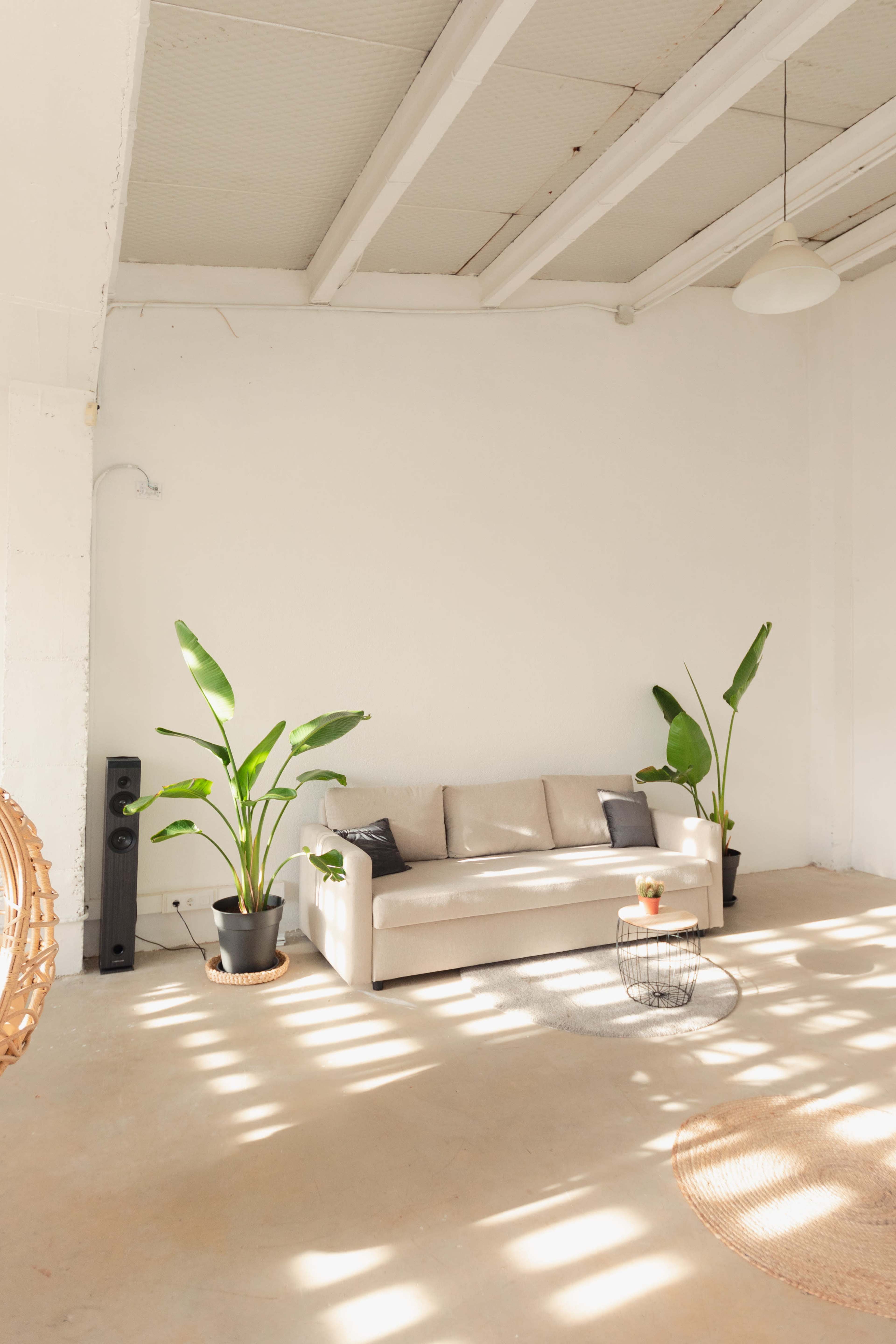 A light-filled room features a beige couch flanked by two tall green plants, with a round rug on the floor and a speaker nearby.