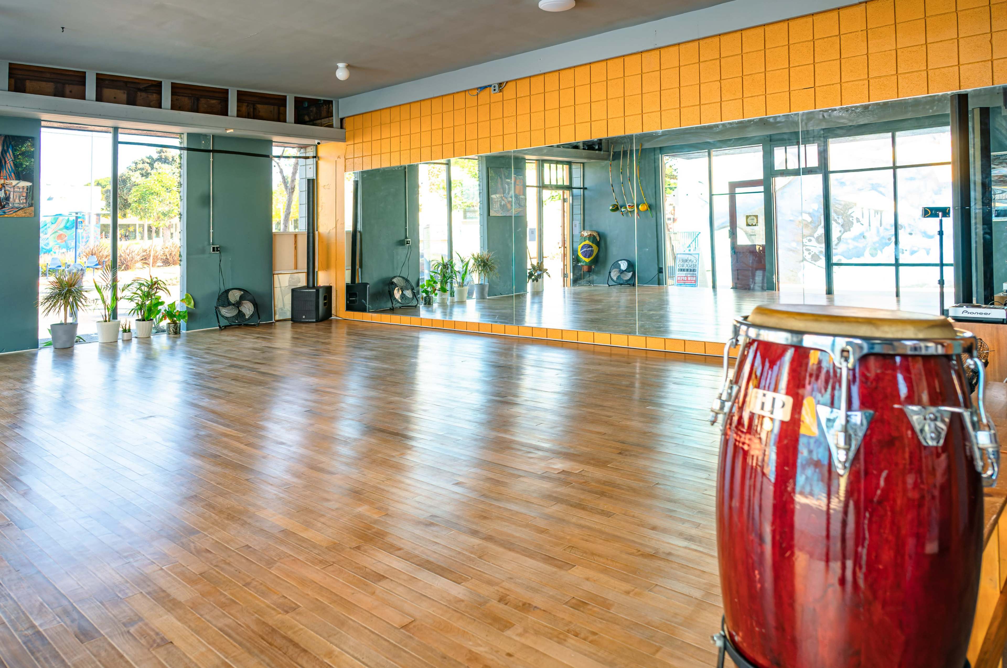 A bright, spacious dance studio with hardwood floors, large mirrors, and potted plants along the walls.