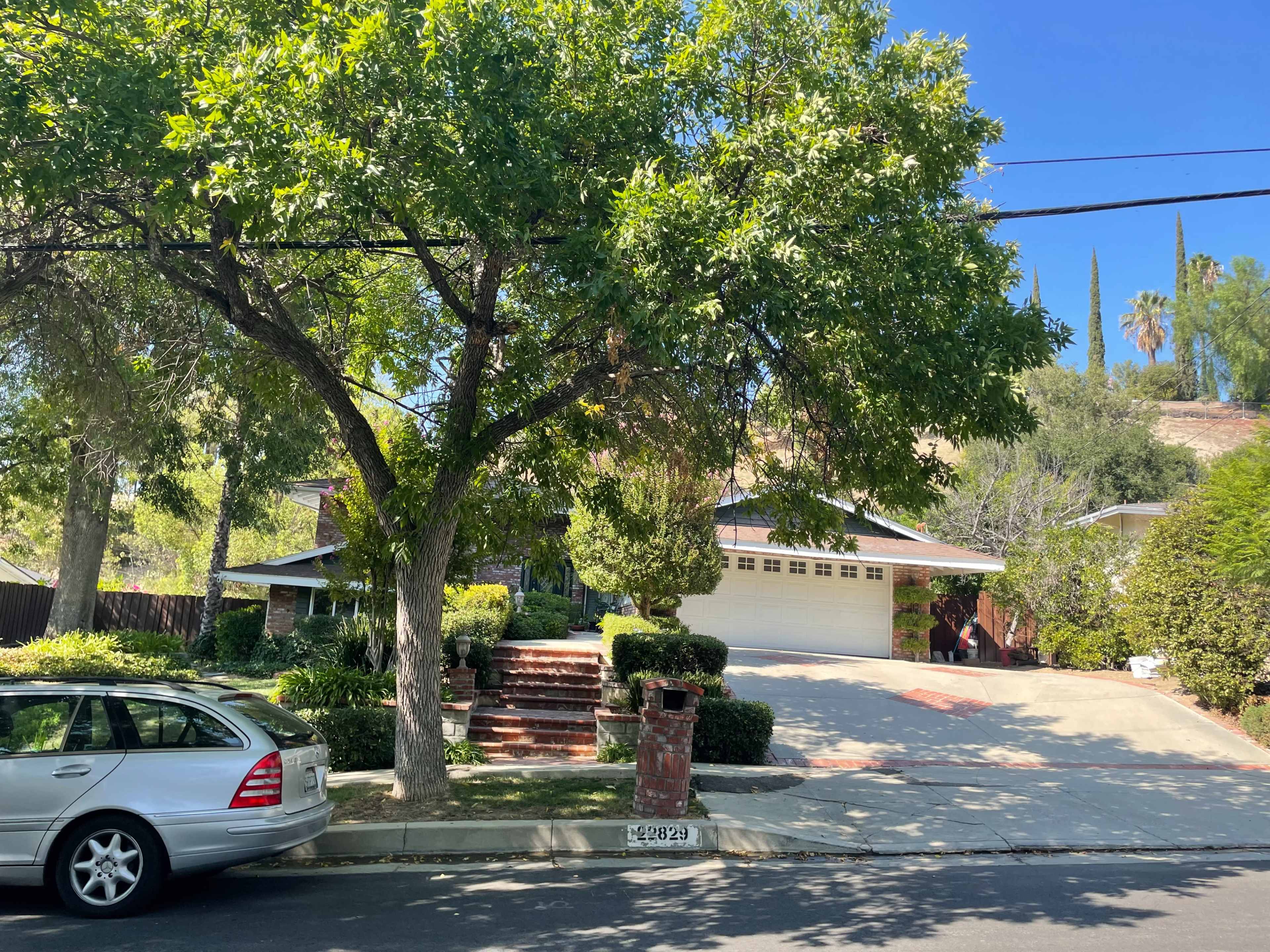 A house with a driveway and large tree is situated on a sloped street, surrounded by greenery and other residential properties.
