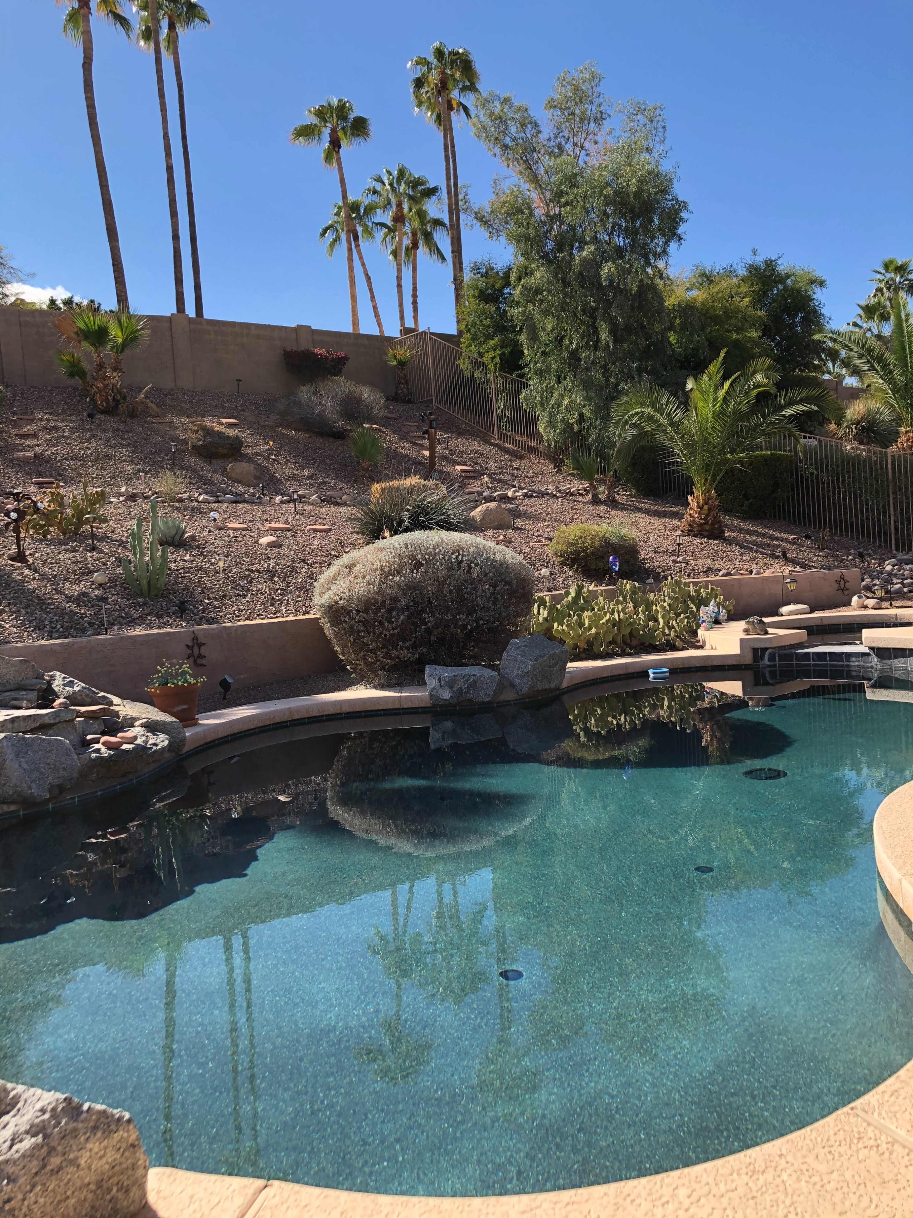 The image shows a clear pool surrounded by various plants and palm trees on a hillside.