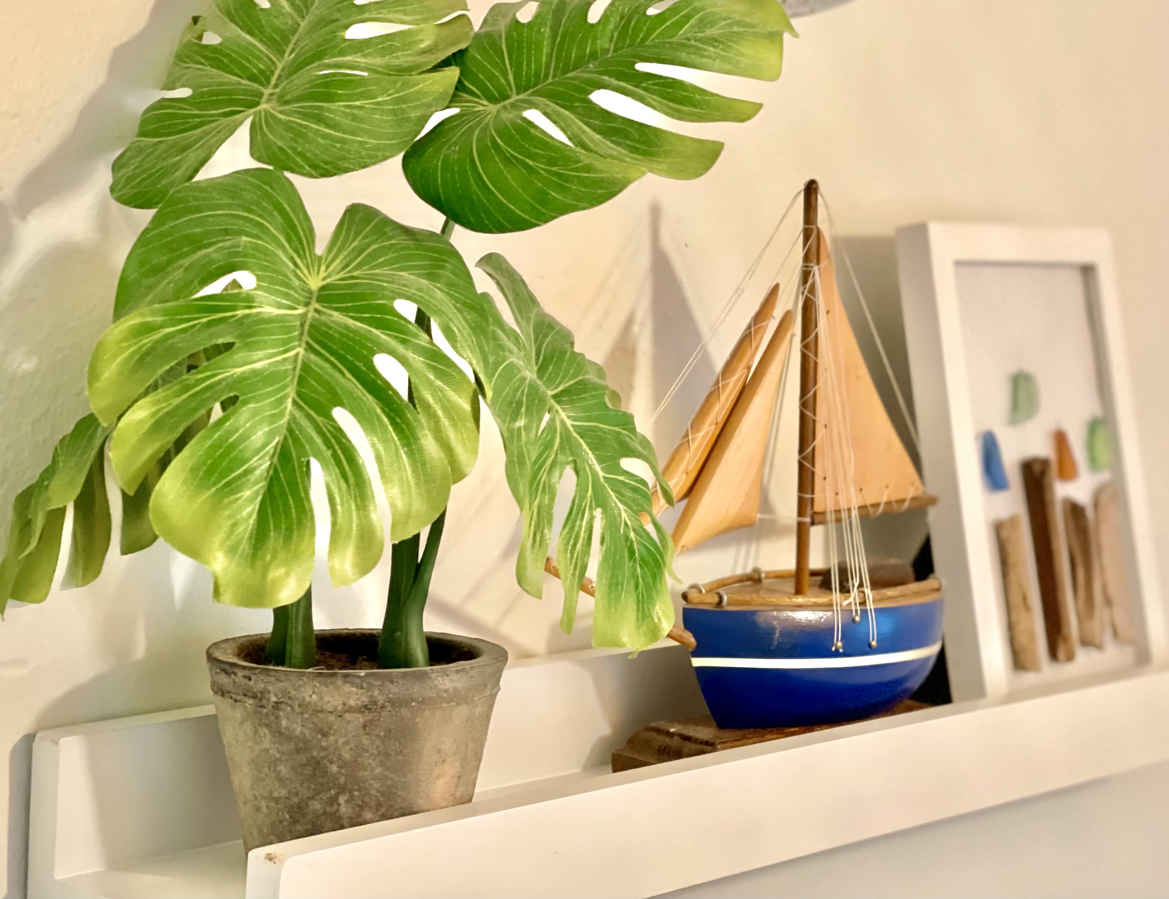 A green monstera plant is placed in a concrete pot next to a small decorative sailboat and a framed picture on a white shelf.