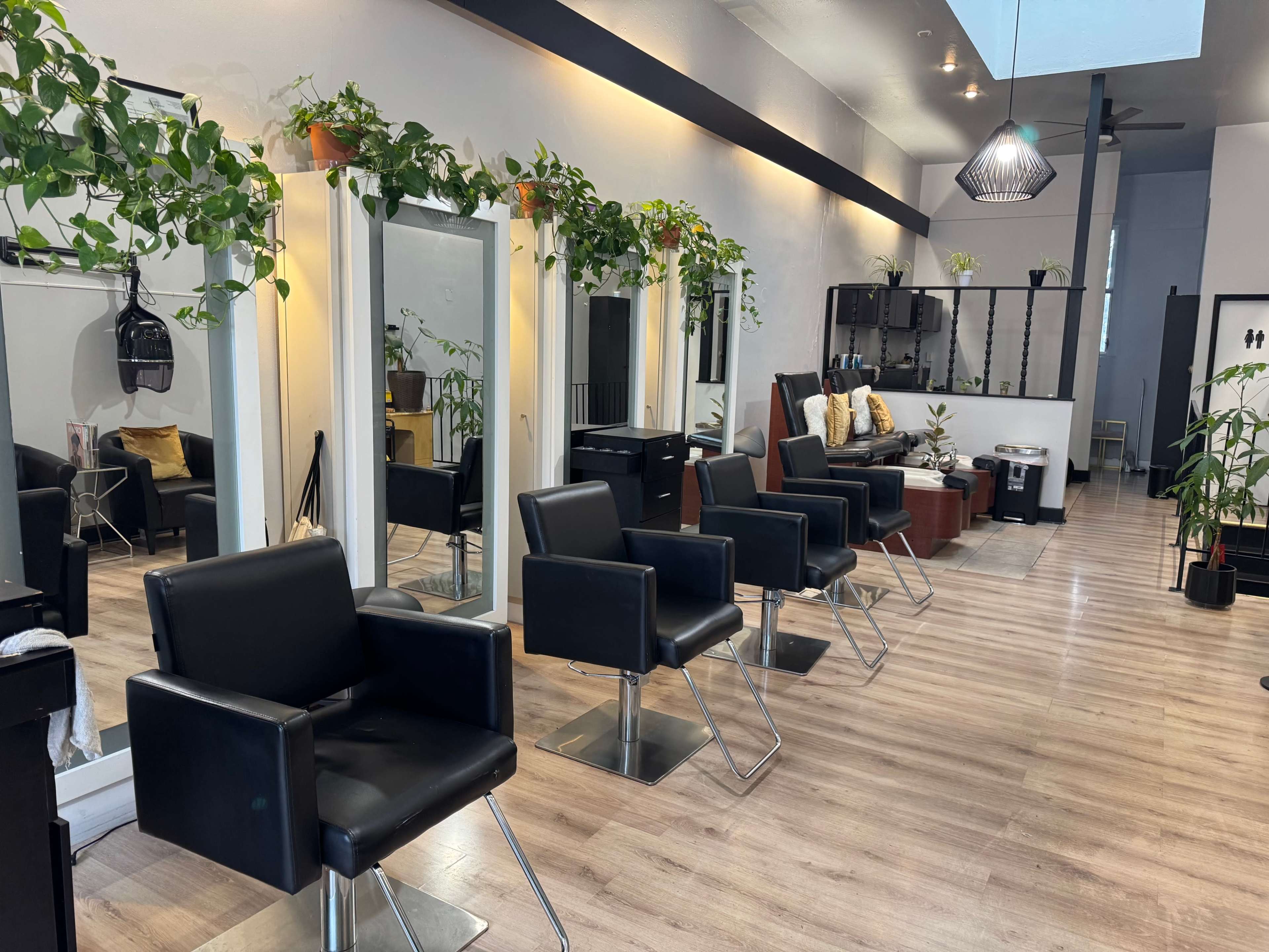 The image shows a modern salon interior with black styling chairs, mirrors, and a variety of potted plants along the walls.