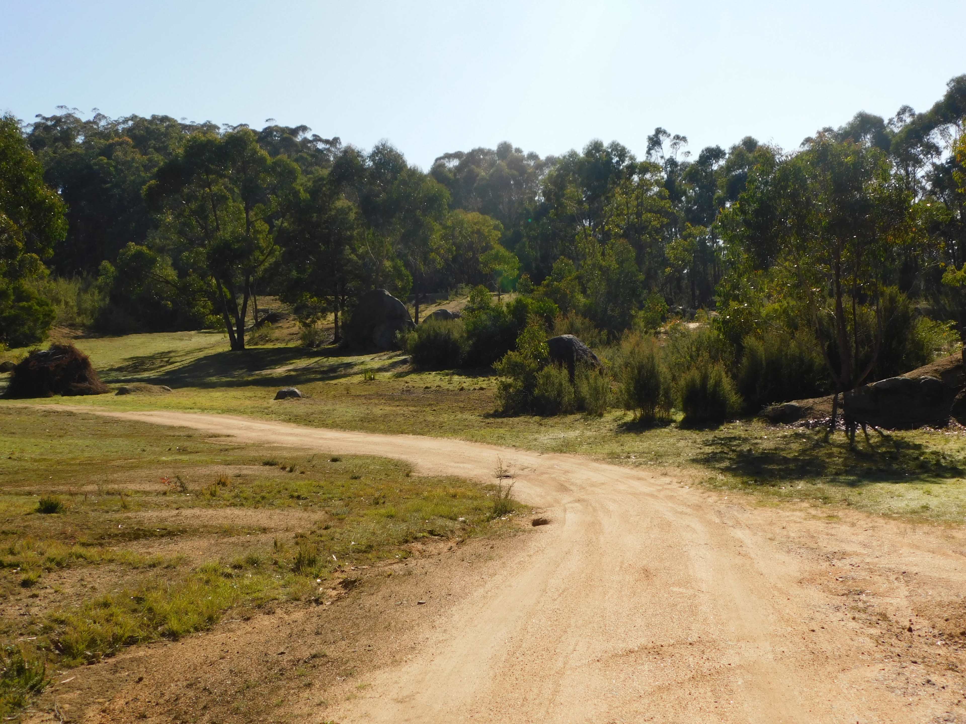 A dirt path winds through a grassy area surrounded by trees and rocks.